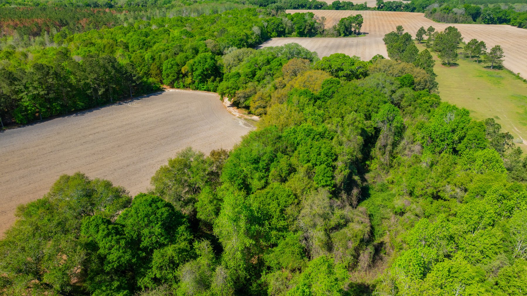 Image for Bells Tract - Tison Estate - 10.5± Total Acres - Excellent Homesite - Located in Big Buck Country - Crop Land & Mixed Hardwoods