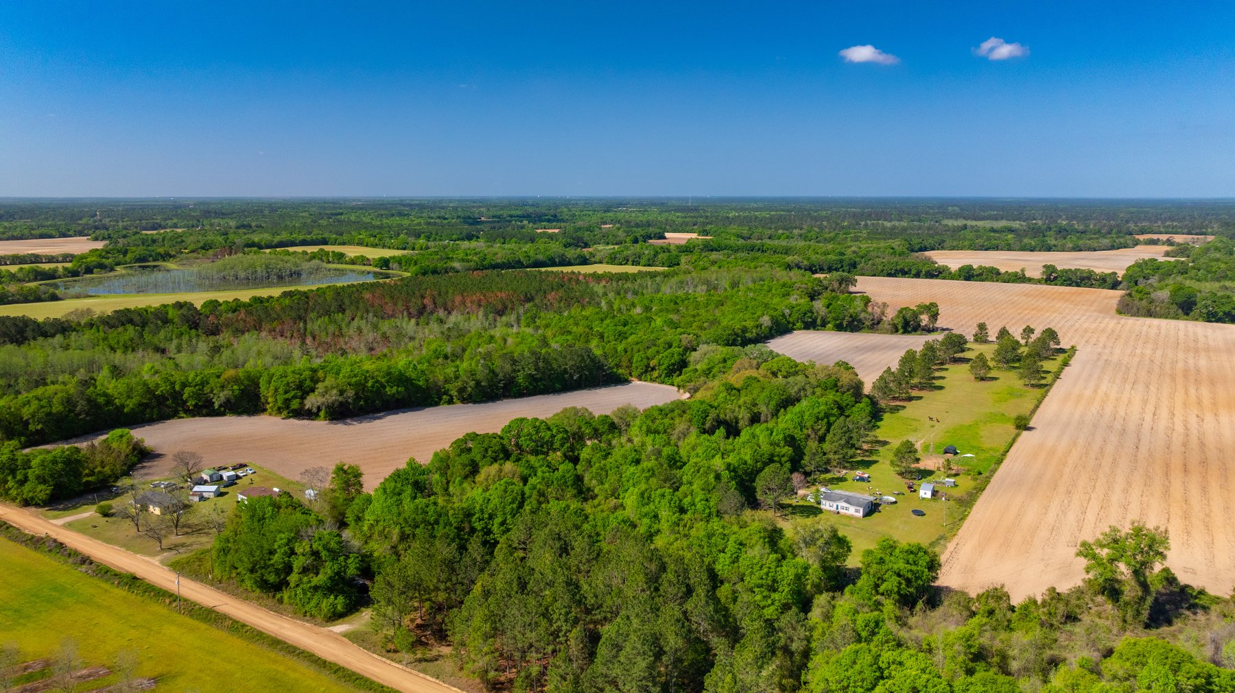 Image for Bells Tract - Tison Estate - 10.5± Total Acres - Excellent Homesite - Located in Big Buck Country - Crop Land & Mixed Hardwoods