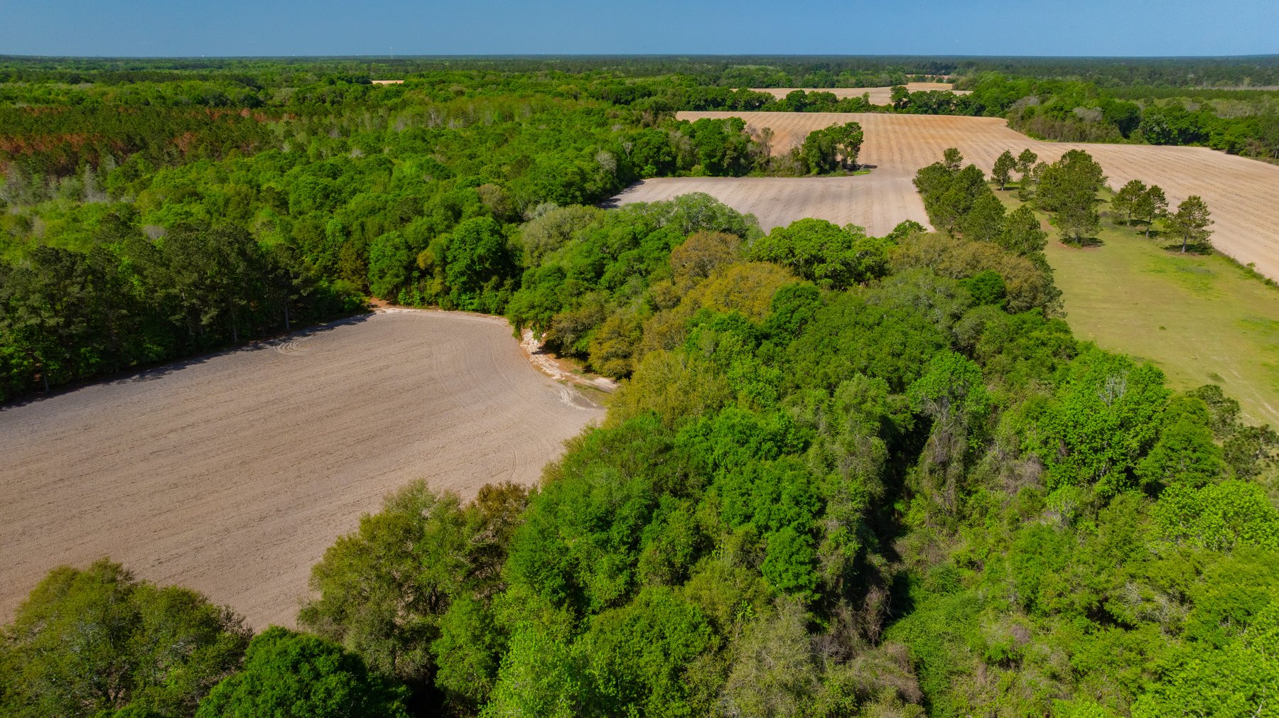 Image for Bells Tract - Tison Estate - 10.5± Total Acres - Excellent Homesite - Located in Big Buck Country - Crop Land & Mixed Hardwoods