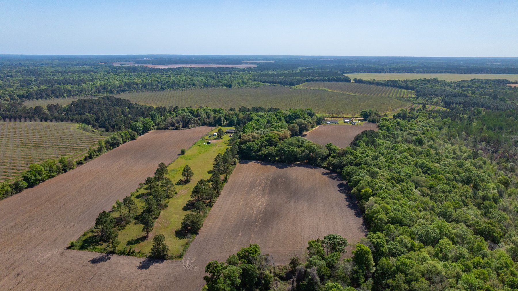 Image for Bells Tract - Tison Estate - 10.5± Total Acres - Excellent Homesite - Located in Big Buck Country - Crop Land & Mixed Hardwoods