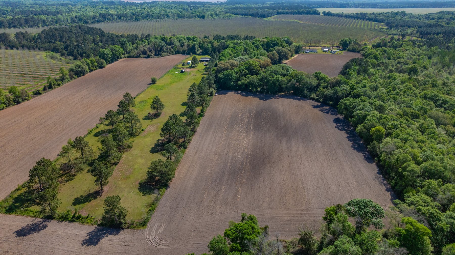 Image for Bells Tract - Tison Estate - 10.5± Total Acres - Excellent Homesite - Located in Big Buck Country - Crop Land & Mixed Hardwoods