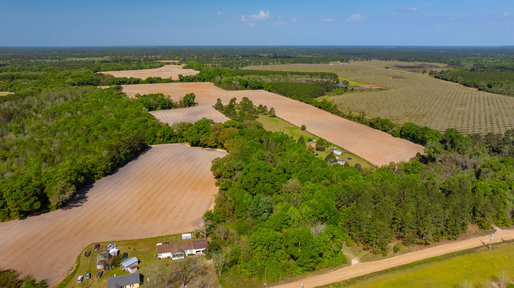 Image for Bells Tract - Tison Estate - 10.5± Total Acres - Excellent Homesite - Located in Big Buck Country - Crop Land & Mixed Hardwoods