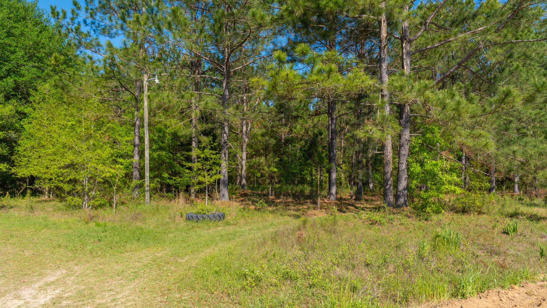 Image for Bells Tract - Tison Estate - 10.5± Total Acres - Excellent Homesite - Located in Big Buck Country - Crop Land & Mixed Hardwoods