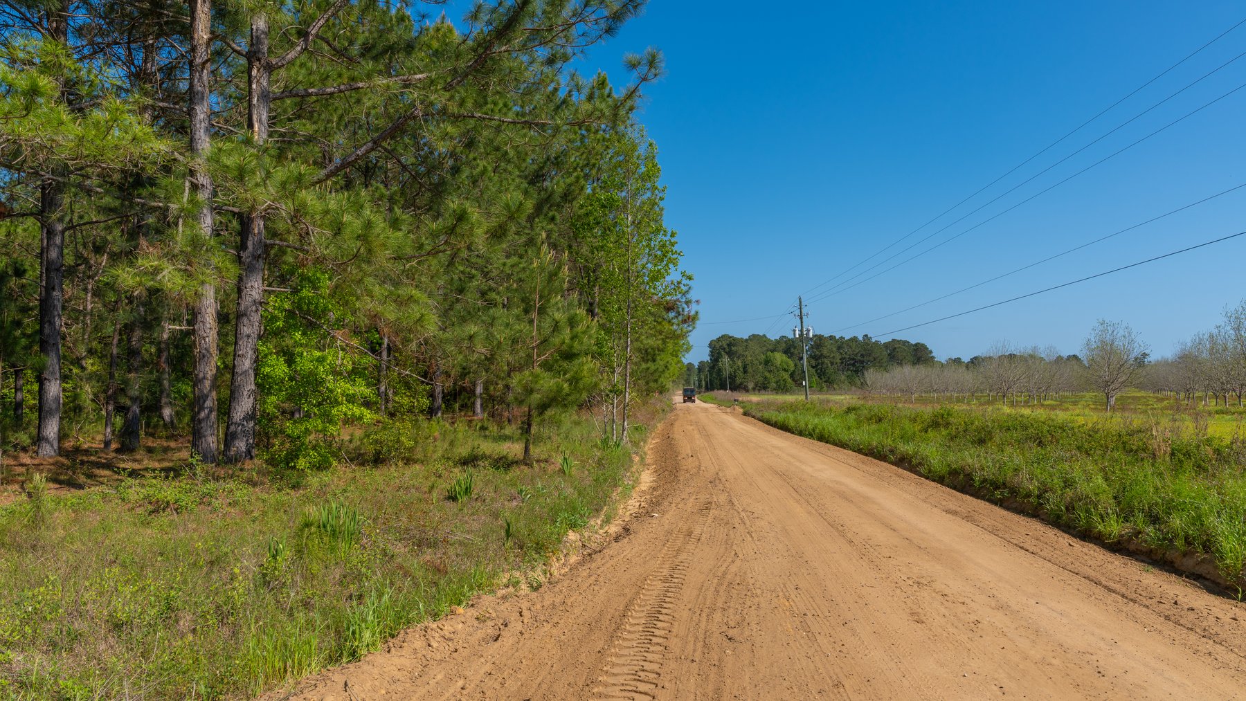 Image for Bells Tract - Tison Estate - 10.5± Total Acres - Excellent Homesite - Located in Big Buck Country - Crop Land & Mixed Hardwoods