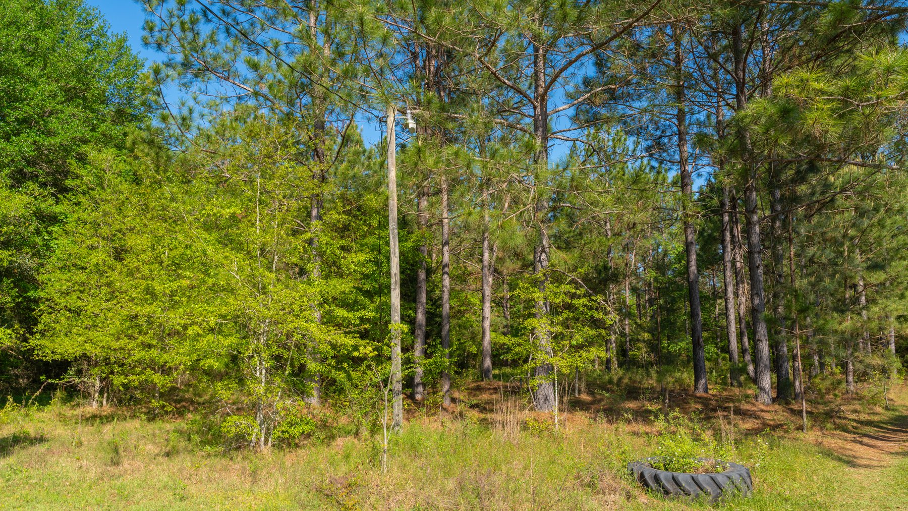 Image for Bells Tract - Tison Estate - 10.5± Total Acres - Excellent Homesite - Located in Big Buck Country - Crop Land & Mixed Hardwoods