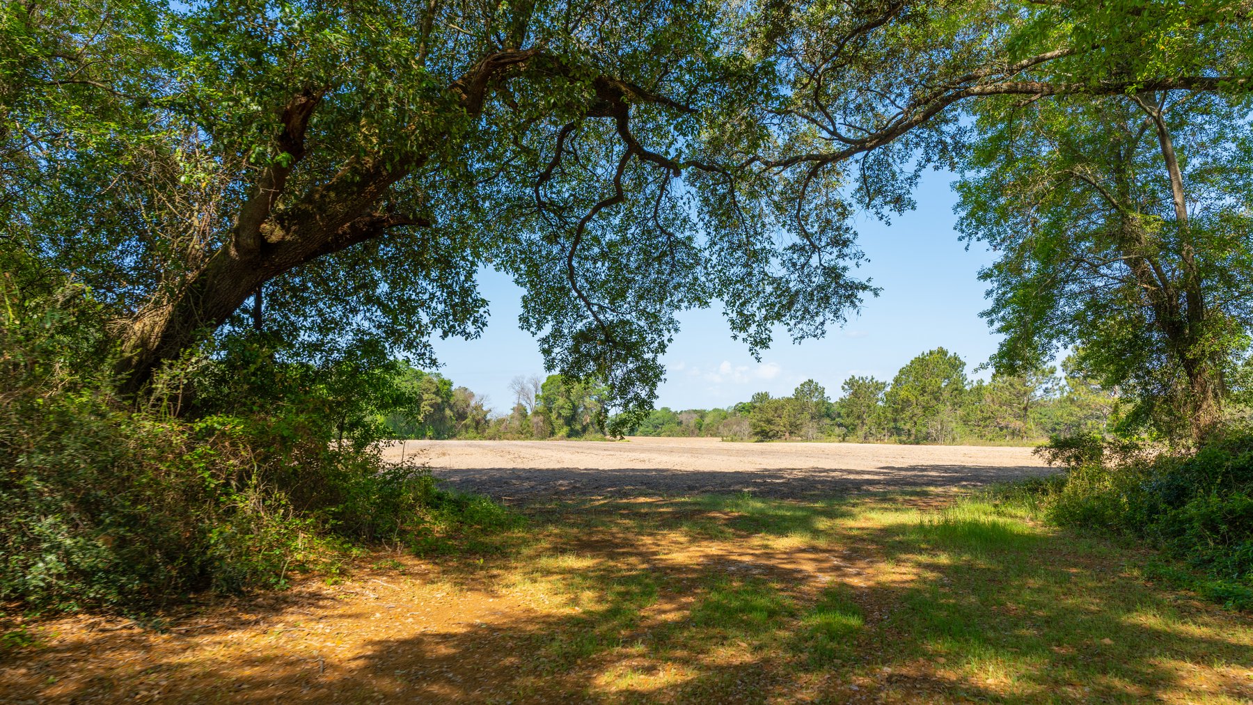 Image for Bells Tract - Tison Estate - 10.5± Total Acres - Excellent Homesite - Located in Big Buck Country - Crop Land & Mixed Hardwoods