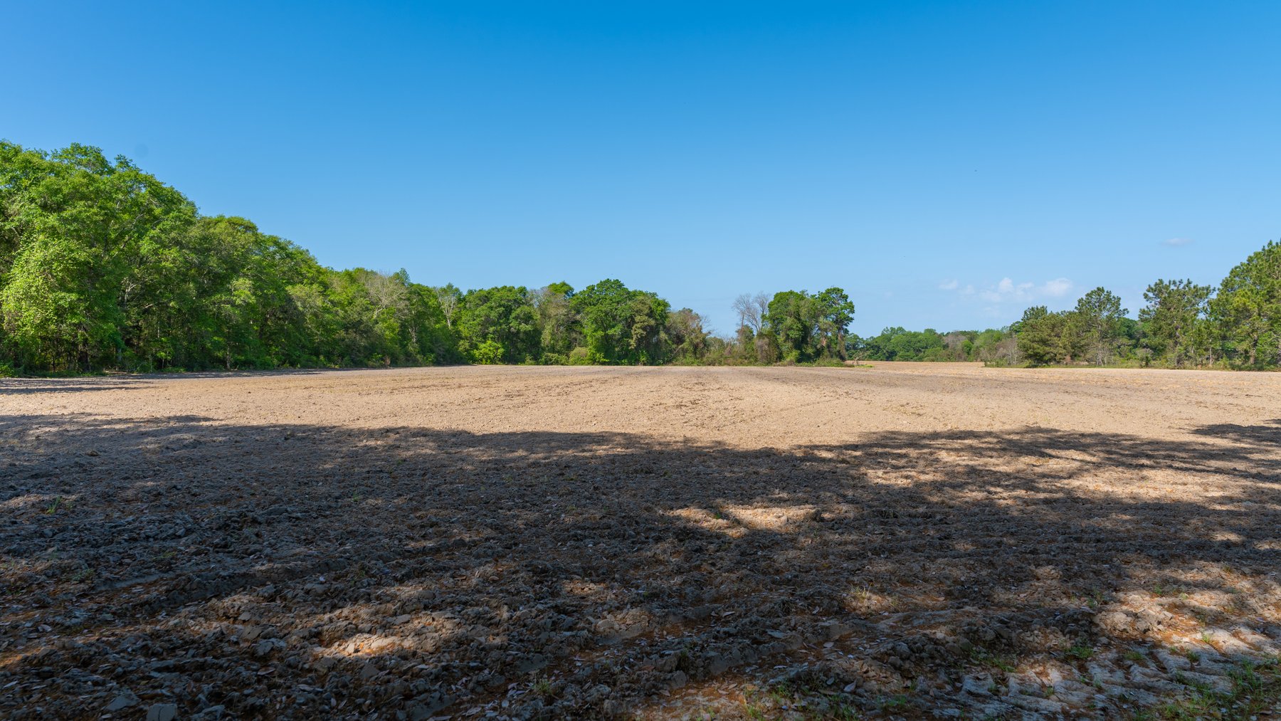 Image for Bells Tract - Tison Estate - 10.5± Total Acres - Excellent Homesite - Located in Big Buck Country - Crop Land & Mixed Hardwoods