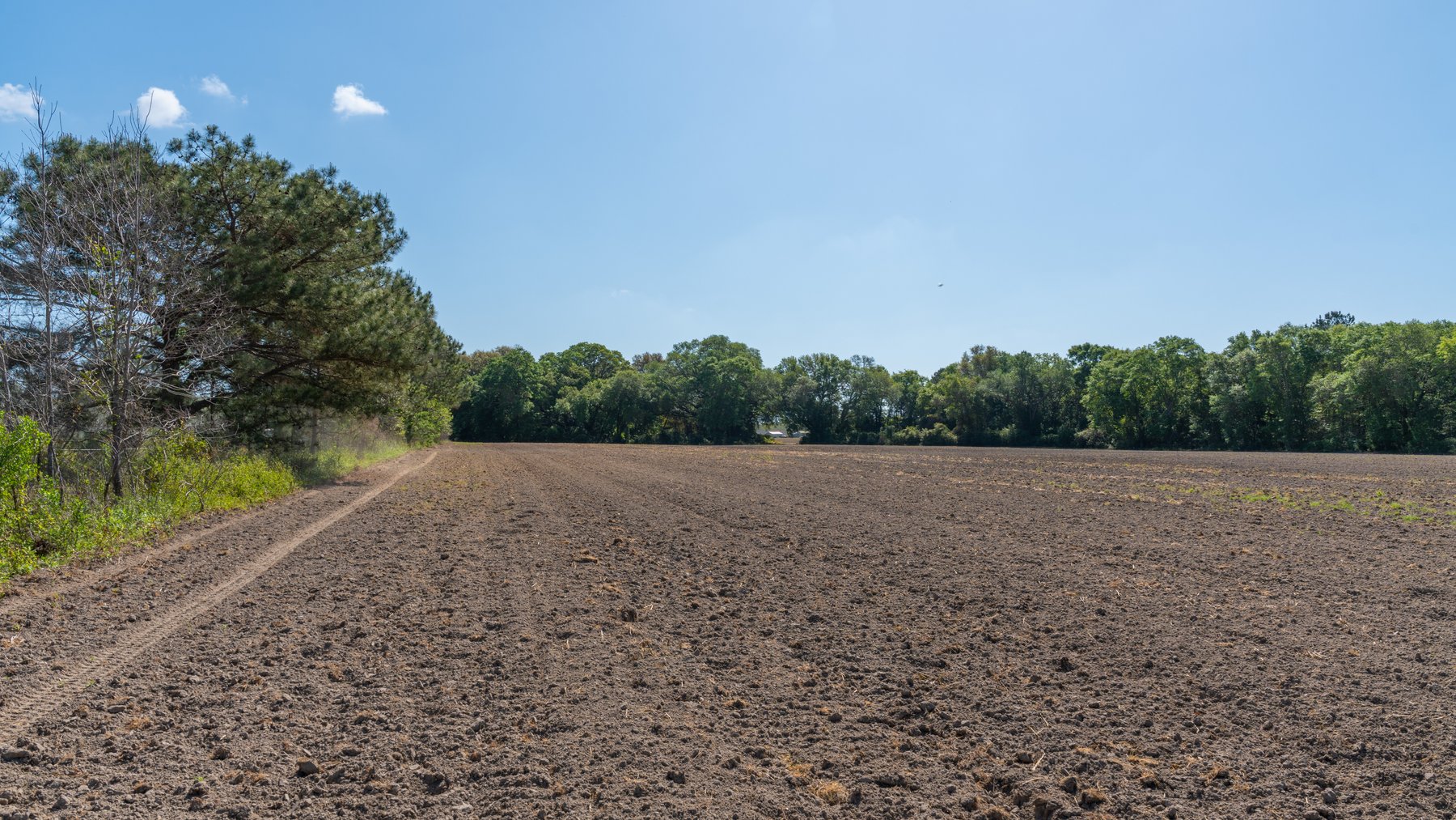 Image for Bells Tract - Tison Estate - 10.5± Total Acres - Excellent Homesite - Located in Big Buck Country - Crop Land & Mixed Hardwoods