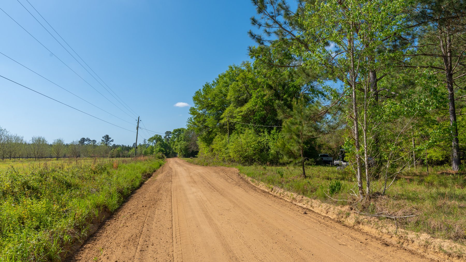 Image for Bells Tract - Tison Estate - 10.5± Total Acres - Excellent Homesite - Located in Big Buck Country - Crop Land & Mixed Hardwoods