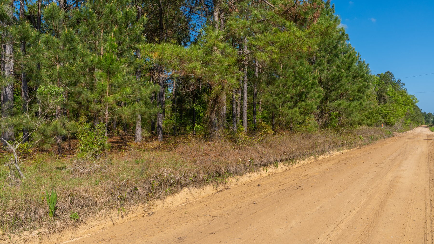 Image for Bells Tract - Tison Estate - 10.5± Total Acres - Excellent Homesite - Located in Big Buck Country - Crop Land & Mixed Hardwoods