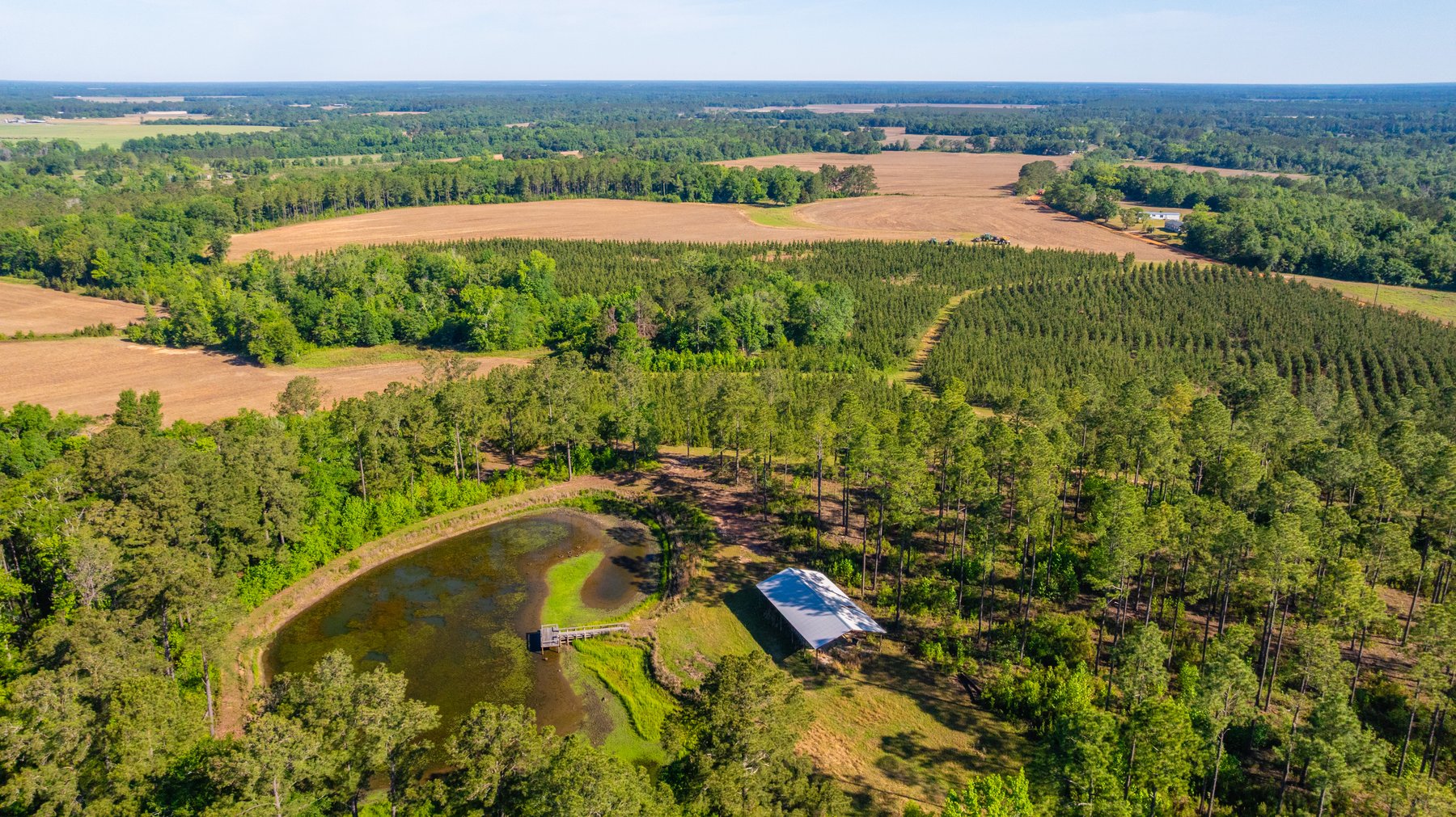 Image for 198.85± Total Acres - Diverse South Georgia Land Tract - Open Farmland w/ Timber & Stocked Pond