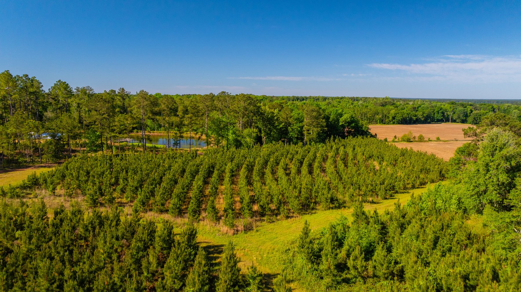 Image for 198.85± Total Acres - Diverse South Georgia Land Tract - Open Farmland w/ Timber & Stocked Pond