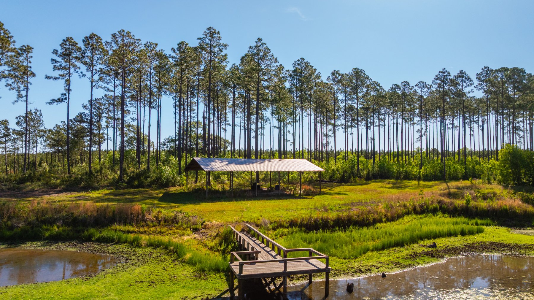 Image for 198.85± Total Acres - Diverse South Georgia Land Tract - Open Farmland w/ Timber & Stocked Pond