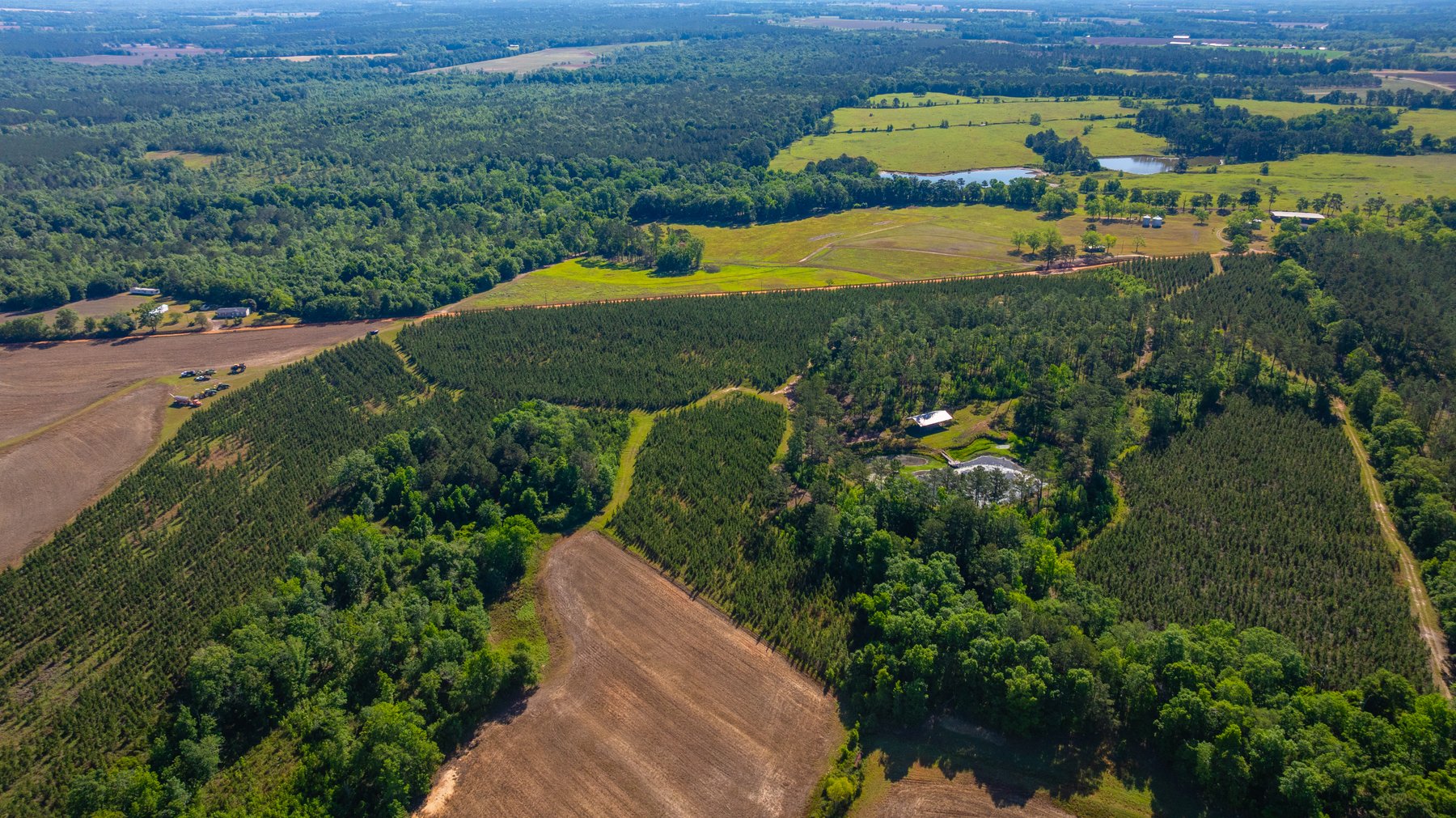 Image for 198.85± Total Acres - Diverse South Georgia Land Tract - Open Farmland w/ Timber & Stocked Pond