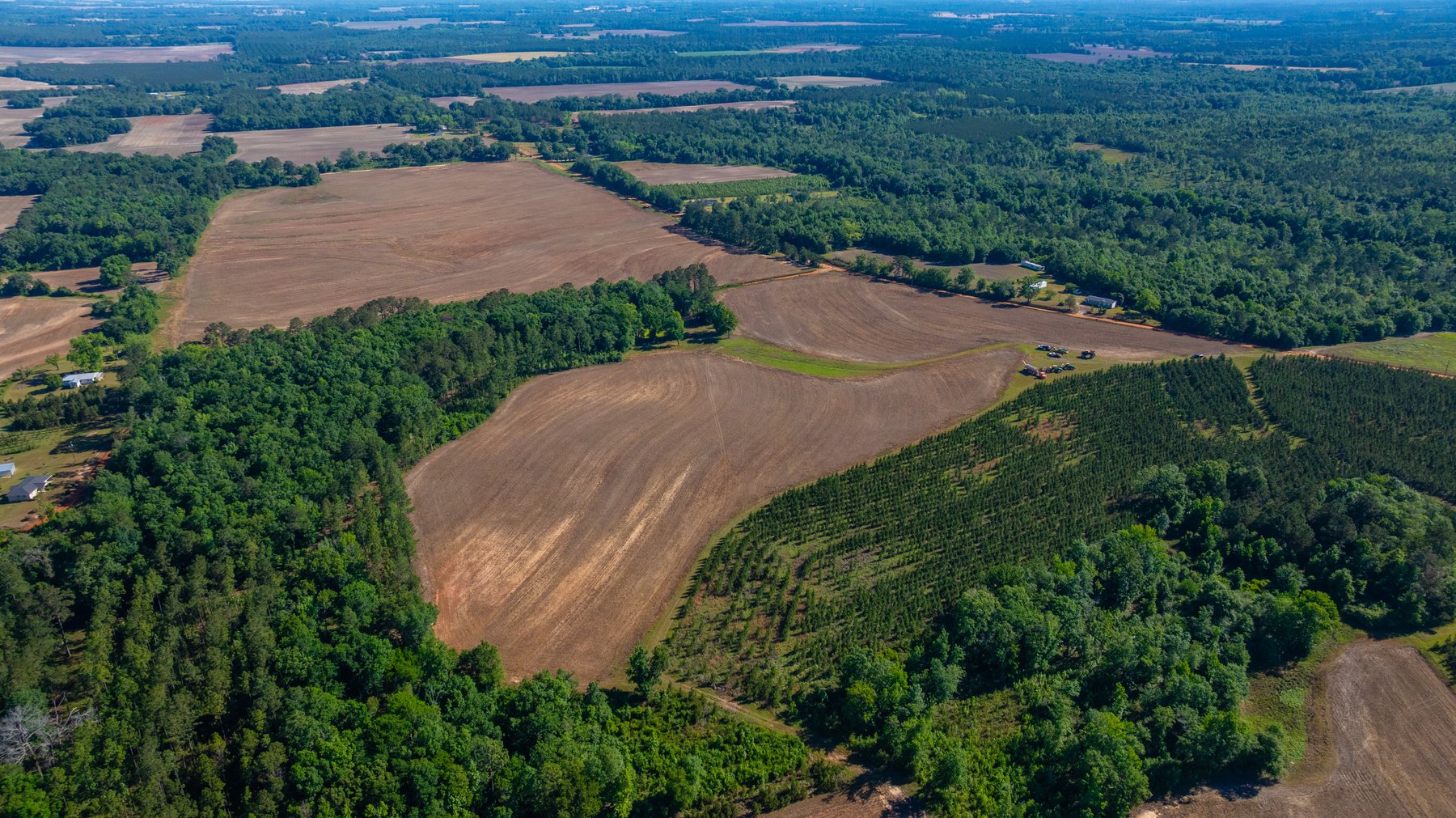 Image for 198.85± Total Acres - Diverse South Georgia Land Tract - Open Farmland w/ Timber & Stocked Pond