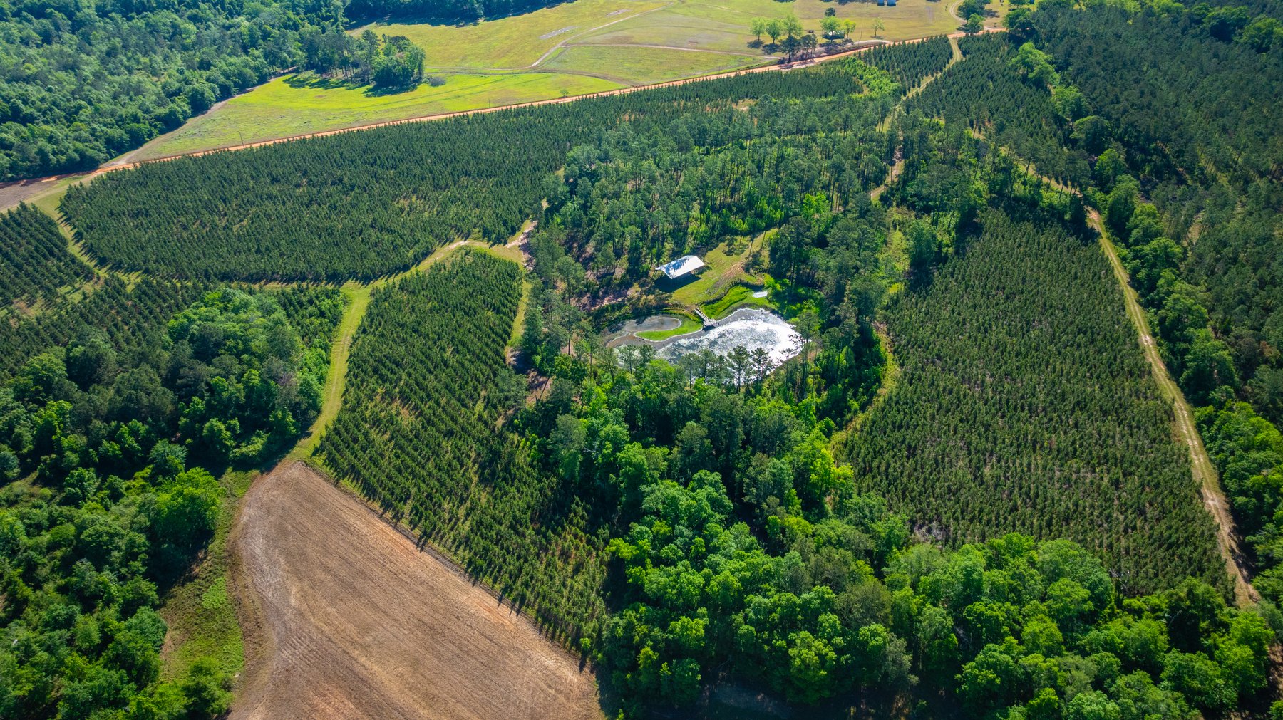 Image for 198.85± Total Acres - Diverse South Georgia Land Tract - Open Farmland w/ Timber & Stocked Pond