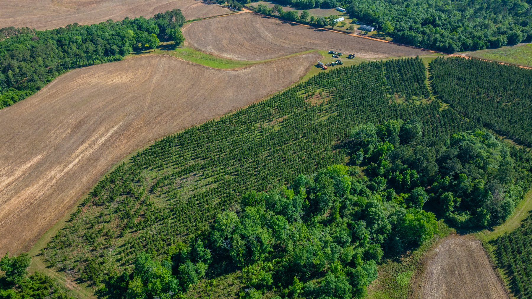 Image for 198.85± Total Acres - Diverse South Georgia Land Tract - Open Farmland w/ Timber & Stocked Pond