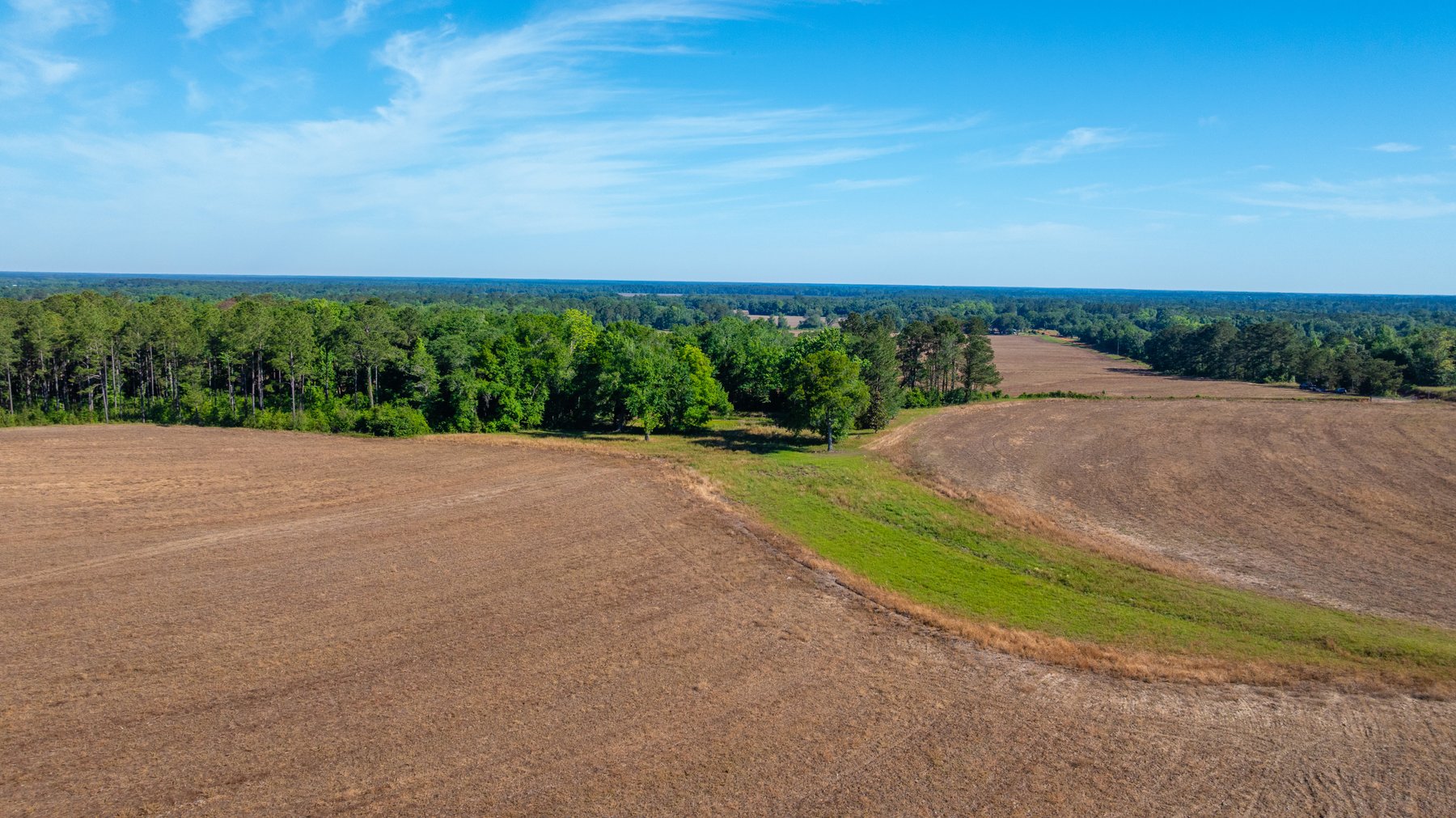 Image for 198.85± Total Acres - Diverse South Georgia Land Tract - Open Farmland w/ Timber & Stocked Pond
