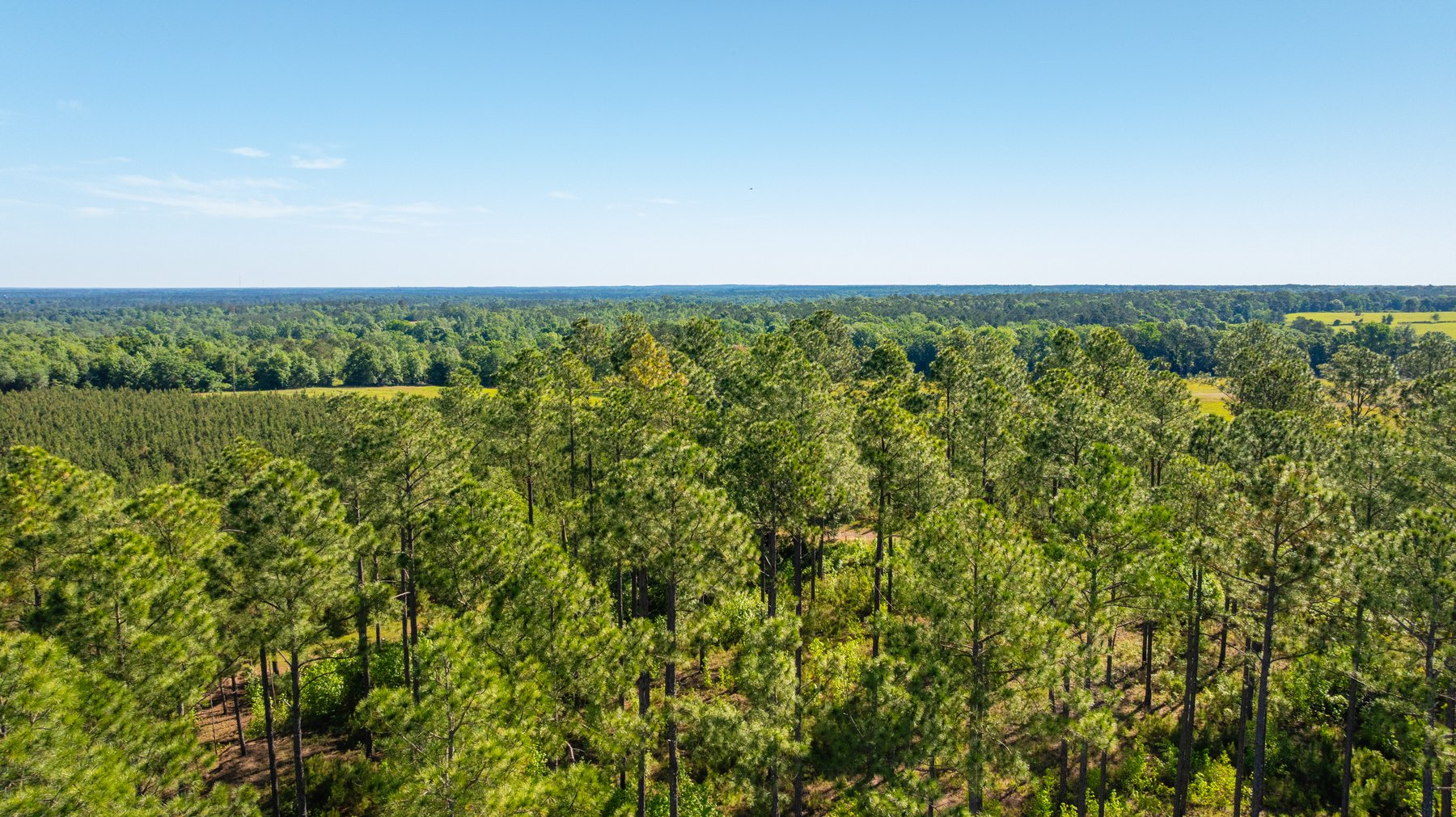 Image for 198.85± Total Acres - Diverse South Georgia Land Tract - Open Farmland w/ Timber & Stocked Pond