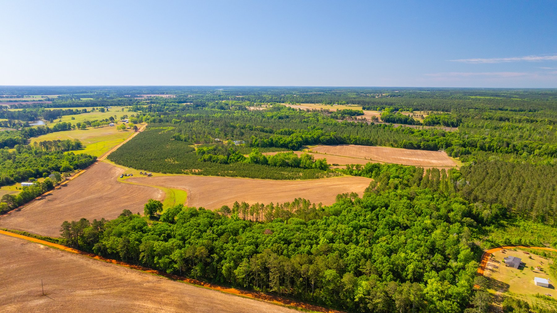 Image for 198.85± Total Acres - Diverse South Georgia Land Tract - Open Farmland w/ Timber & Stocked Pond
