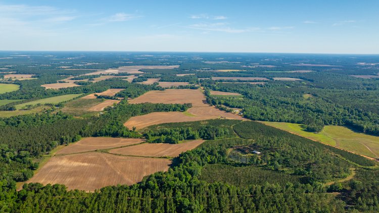 Image for 198.85± Total Acres - Diverse South Georgia Land Tract - Open Farmland w/ Timber & Stocked Pond