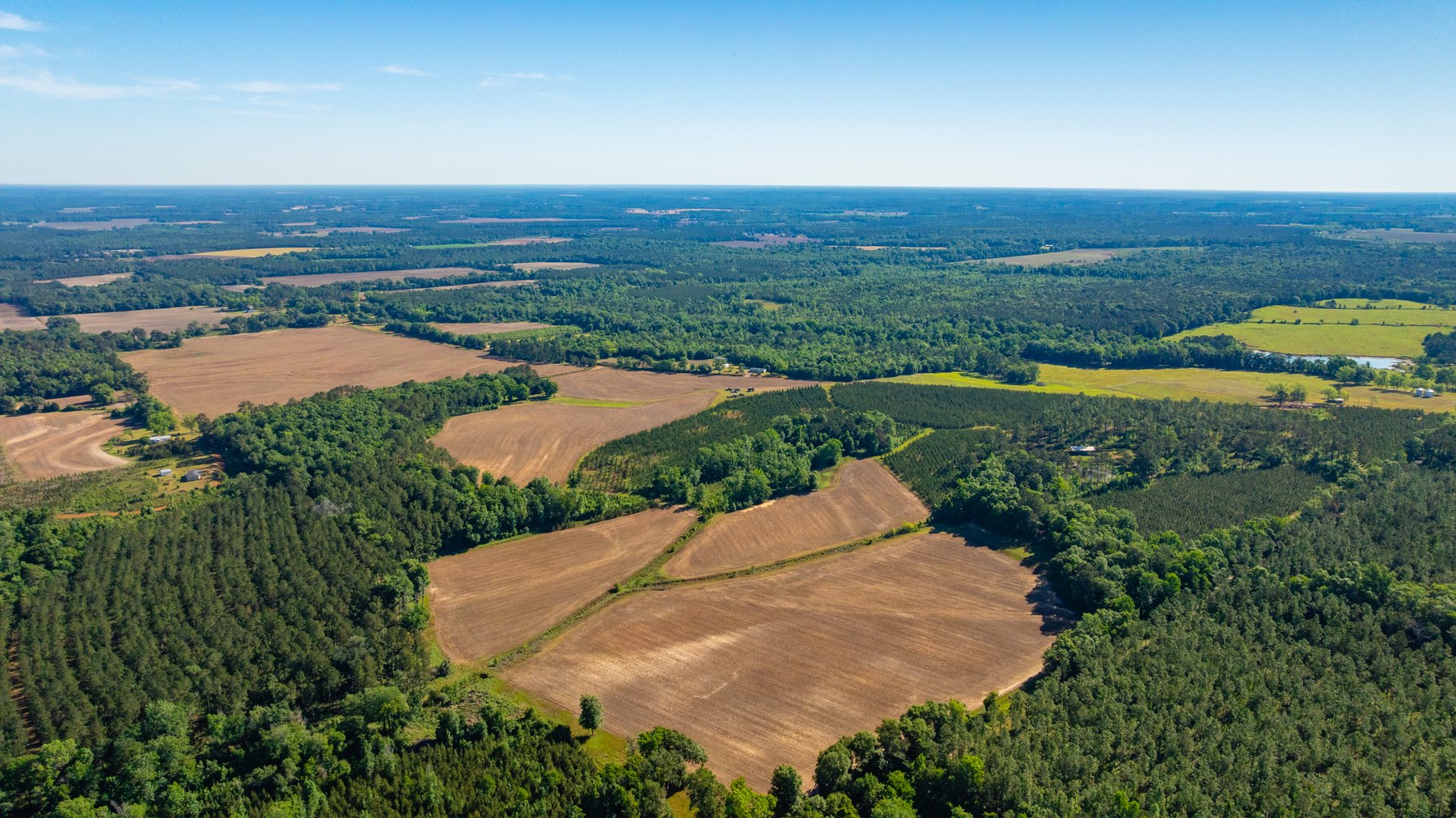Image for 198.85± Total Acres - Diverse South Georgia Land Tract - Open Farmland w/ Timber & Stocked Pond