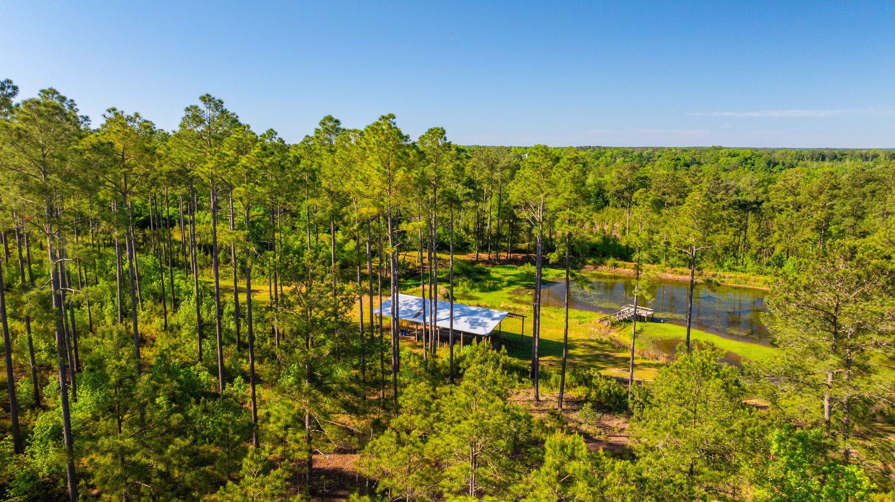 Image for 198.85± Total Acres - Diverse South Georgia Land Tract - Open Farmland w/ Timber & Stocked Pond