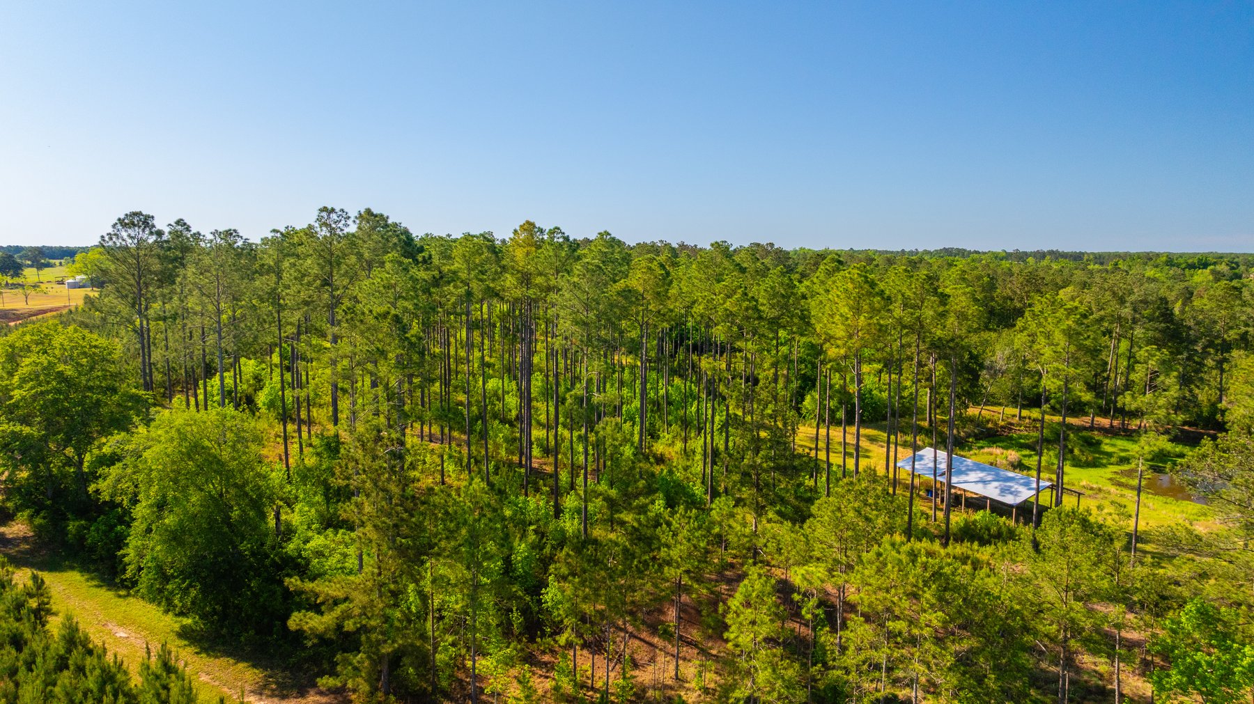 Image for 198.85± Total Acres - Diverse South Georgia Land Tract - Open Farmland w/ Timber & Stocked Pond