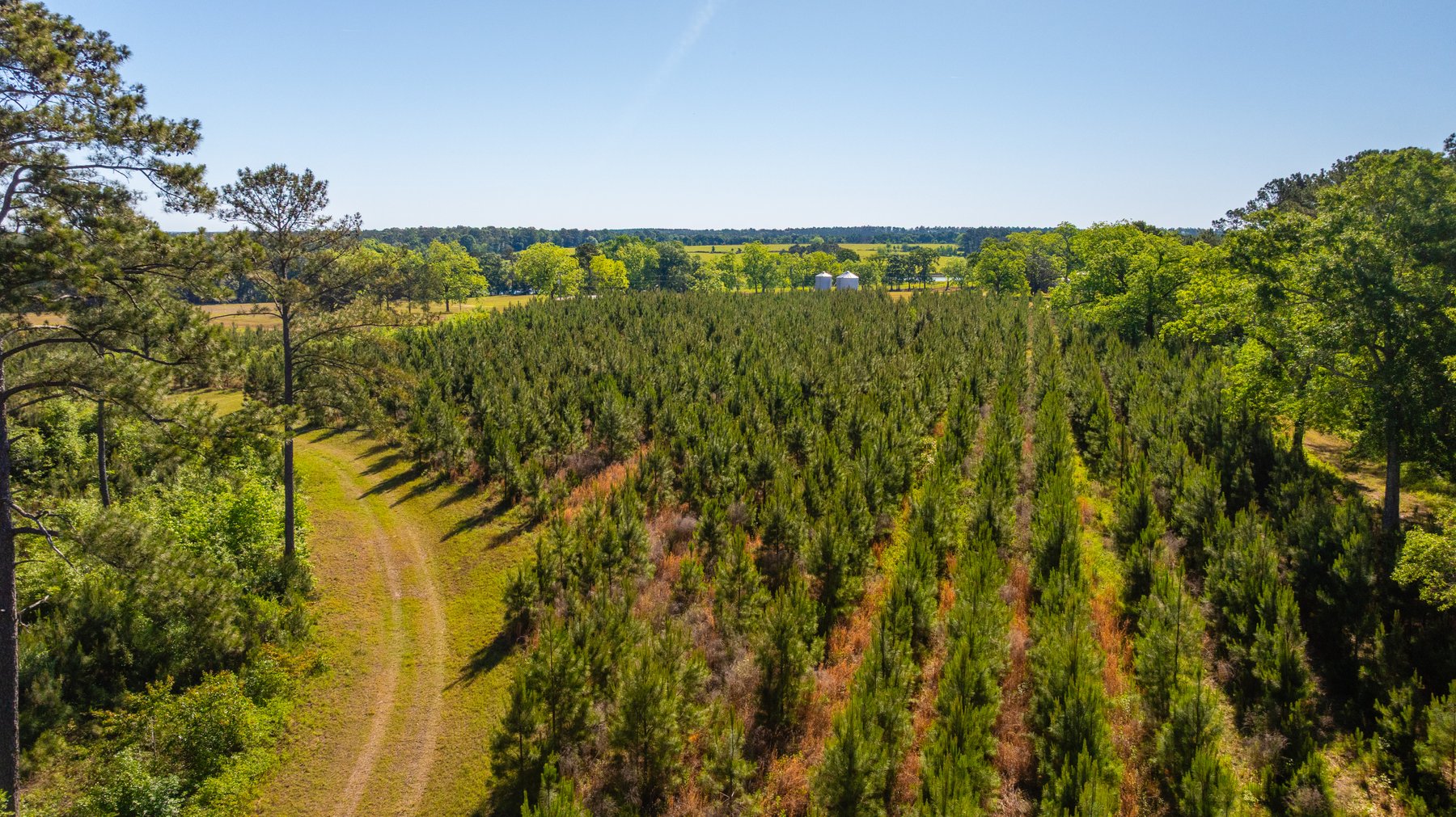 Image for 198.85± Total Acres - Diverse South Georgia Land Tract - Open Farmland w/ Timber & Stocked Pond