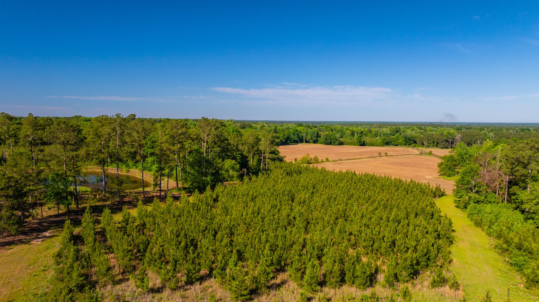 Image for 198.85± Total Acres - Diverse South Georgia Land Tract - Open Farmland w/ Timber & Stocked Pond