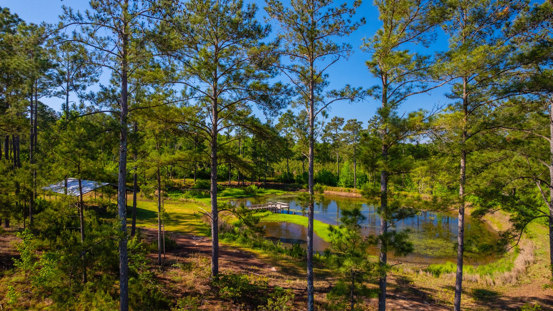 Image for 198.85± Total Acres - Diverse South Georgia Land Tract - Open Farmland w/ Timber & Stocked Pond