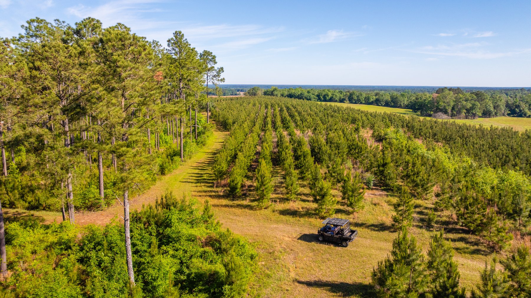 Image for 198.85± Total Acres - Diverse South Georgia Land Tract - Open Farmland w/ Timber & Stocked Pond