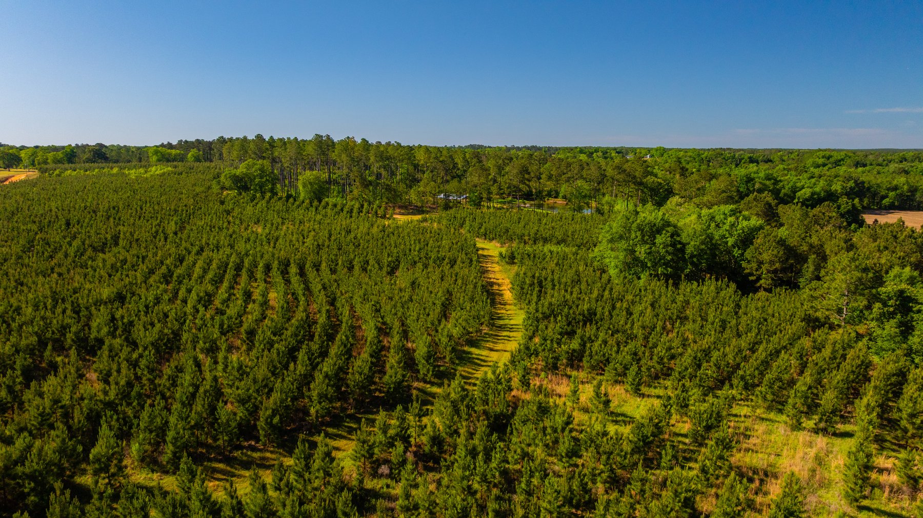 Image for 198.85± Total Acres - Diverse South Georgia Land Tract - Open Farmland w/ Timber & Stocked Pond