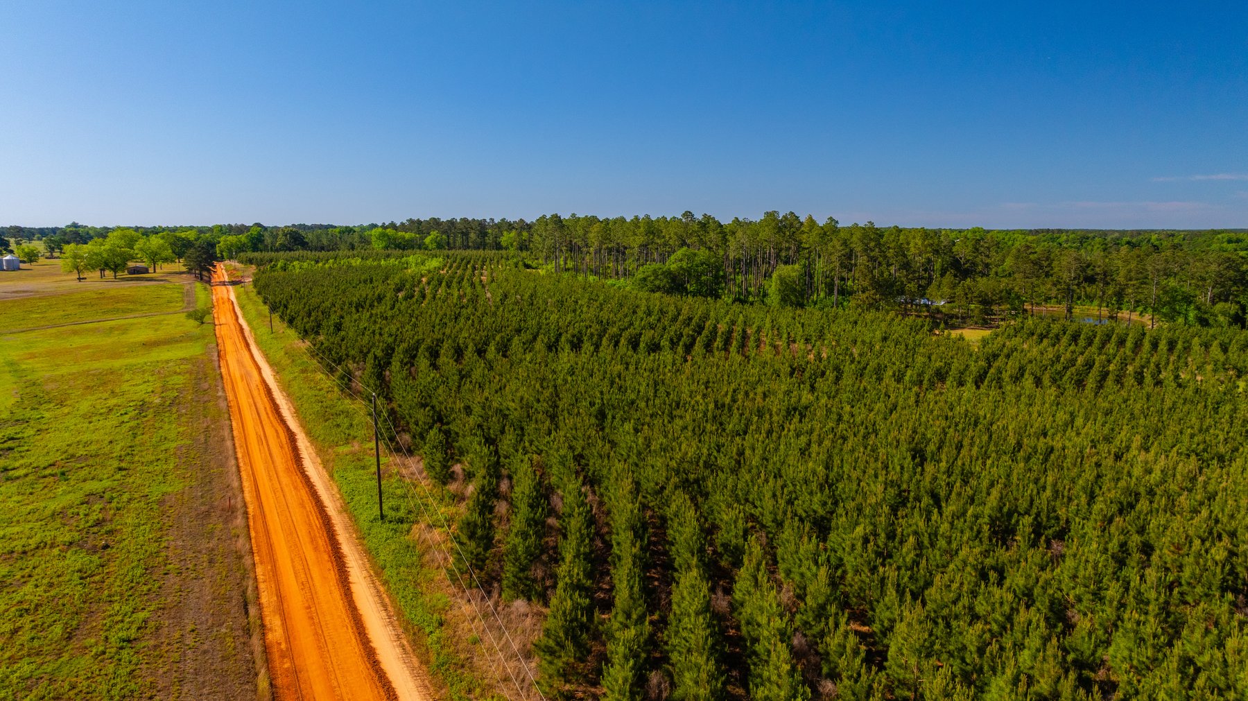 Image for 198.85± Total Acres - Diverse South Georgia Land Tract - Open Farmland w/ Timber & Stocked Pond