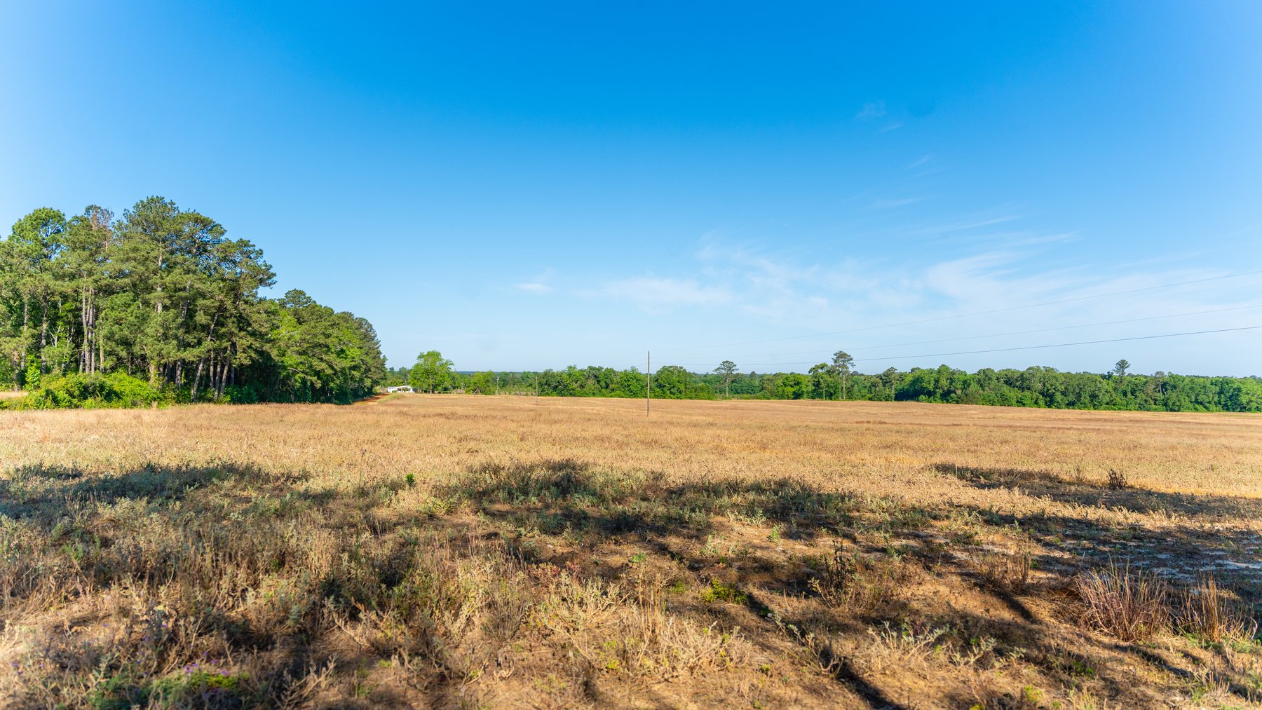 Image for 198.85± Total Acres - Diverse South Georgia Land Tract - Open Farmland w/ Timber & Stocked Pond