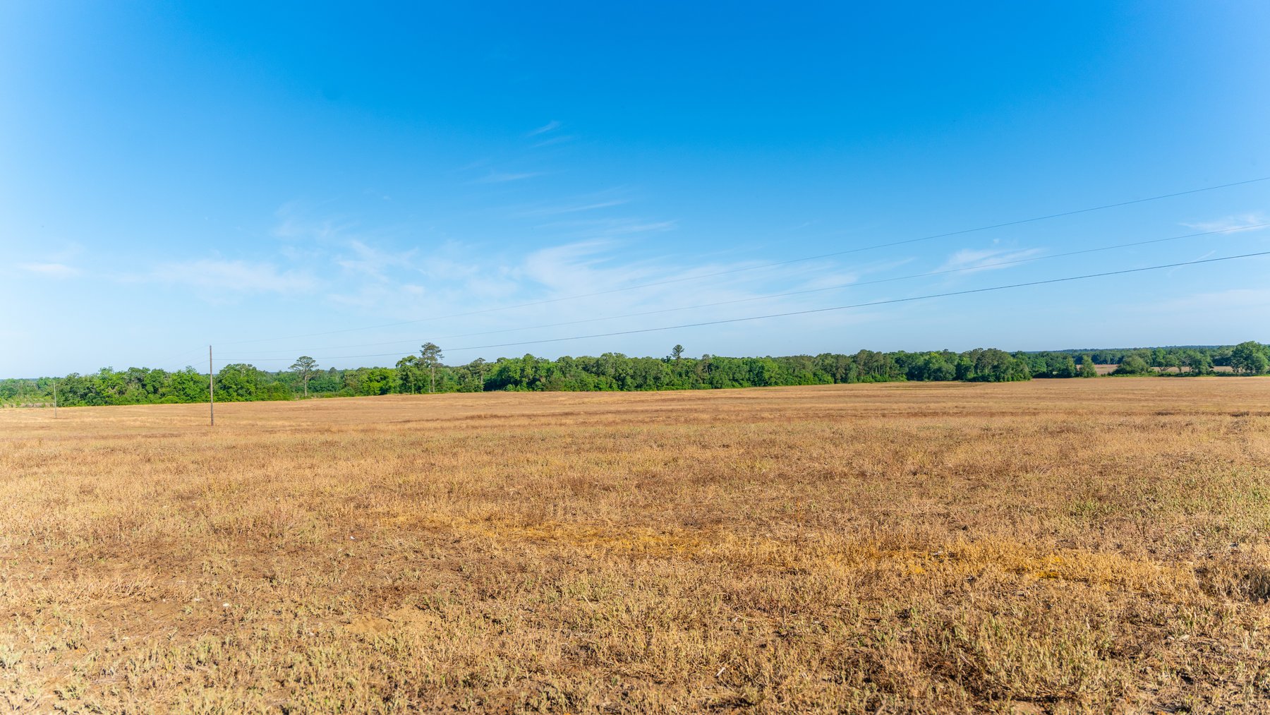 Image for 198.85± Total Acres - Diverse South Georgia Land Tract - Open Farmland w/ Timber & Stocked Pond