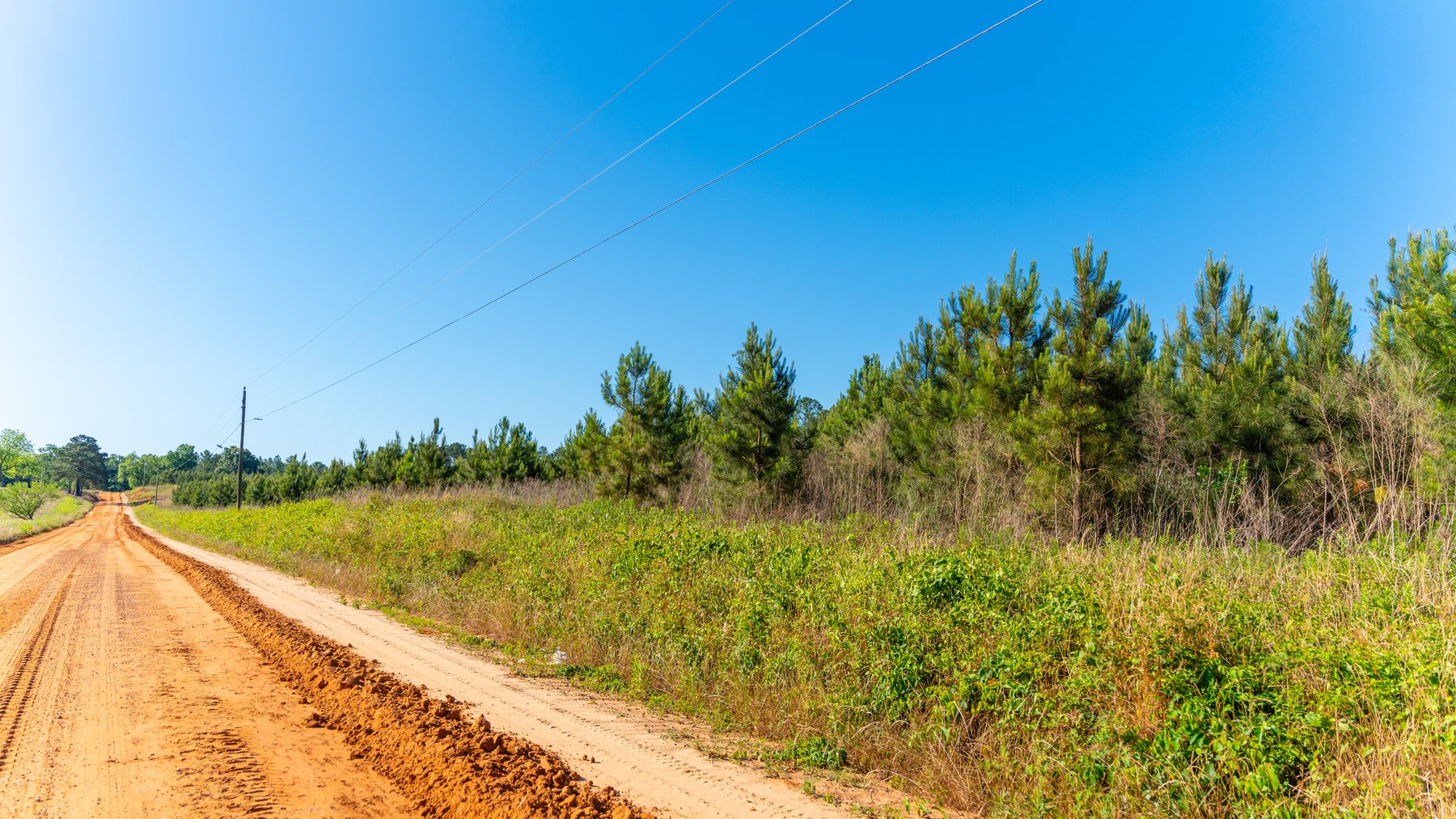 Image for 198.85± Total Acres - Diverse South Georgia Land Tract - Open Farmland w/ Timber & Stocked Pond