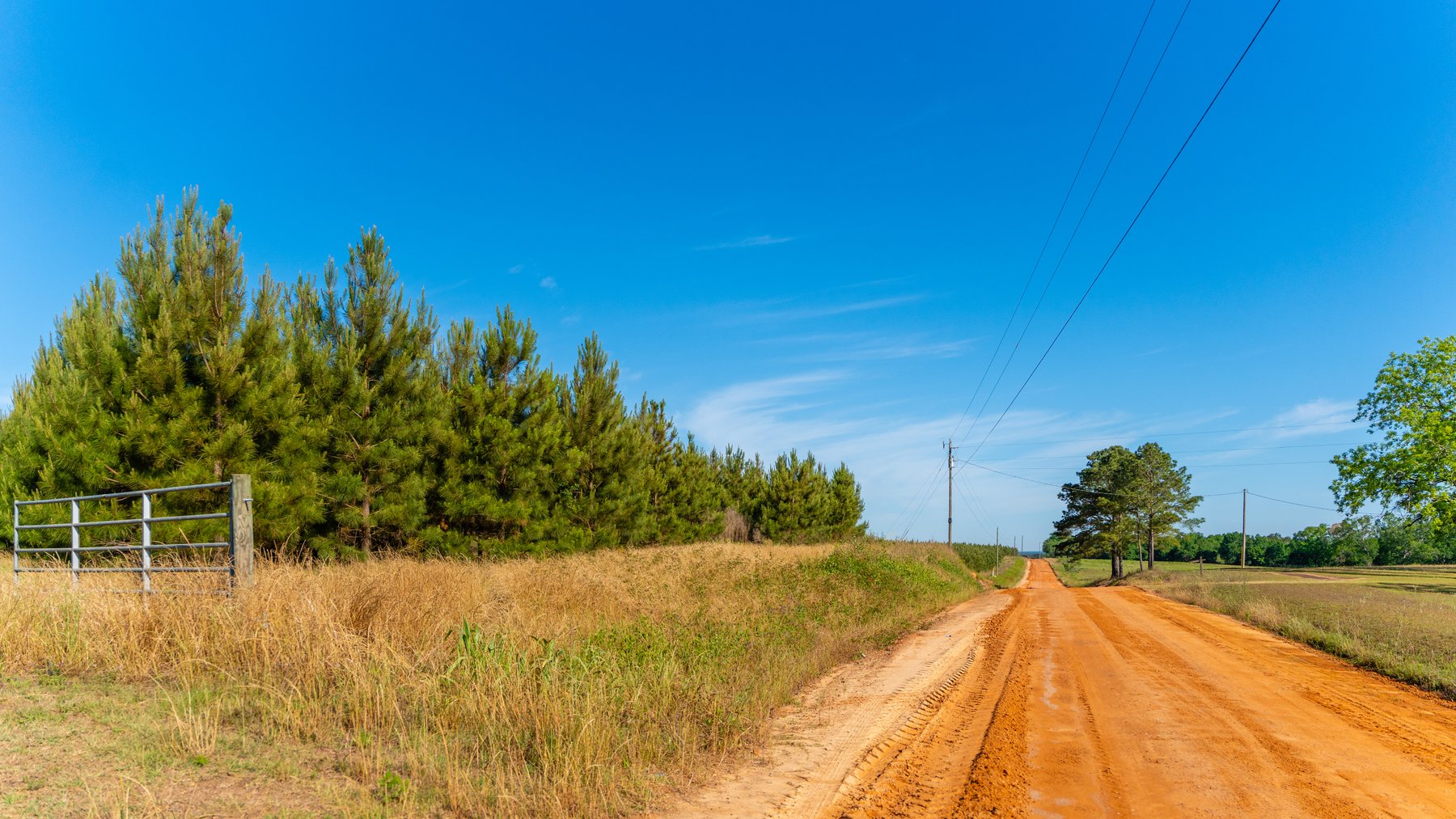 Image for 198.85± Total Acres - Diverse South Georgia Land Tract - Open Farmland w/ Timber & Stocked Pond