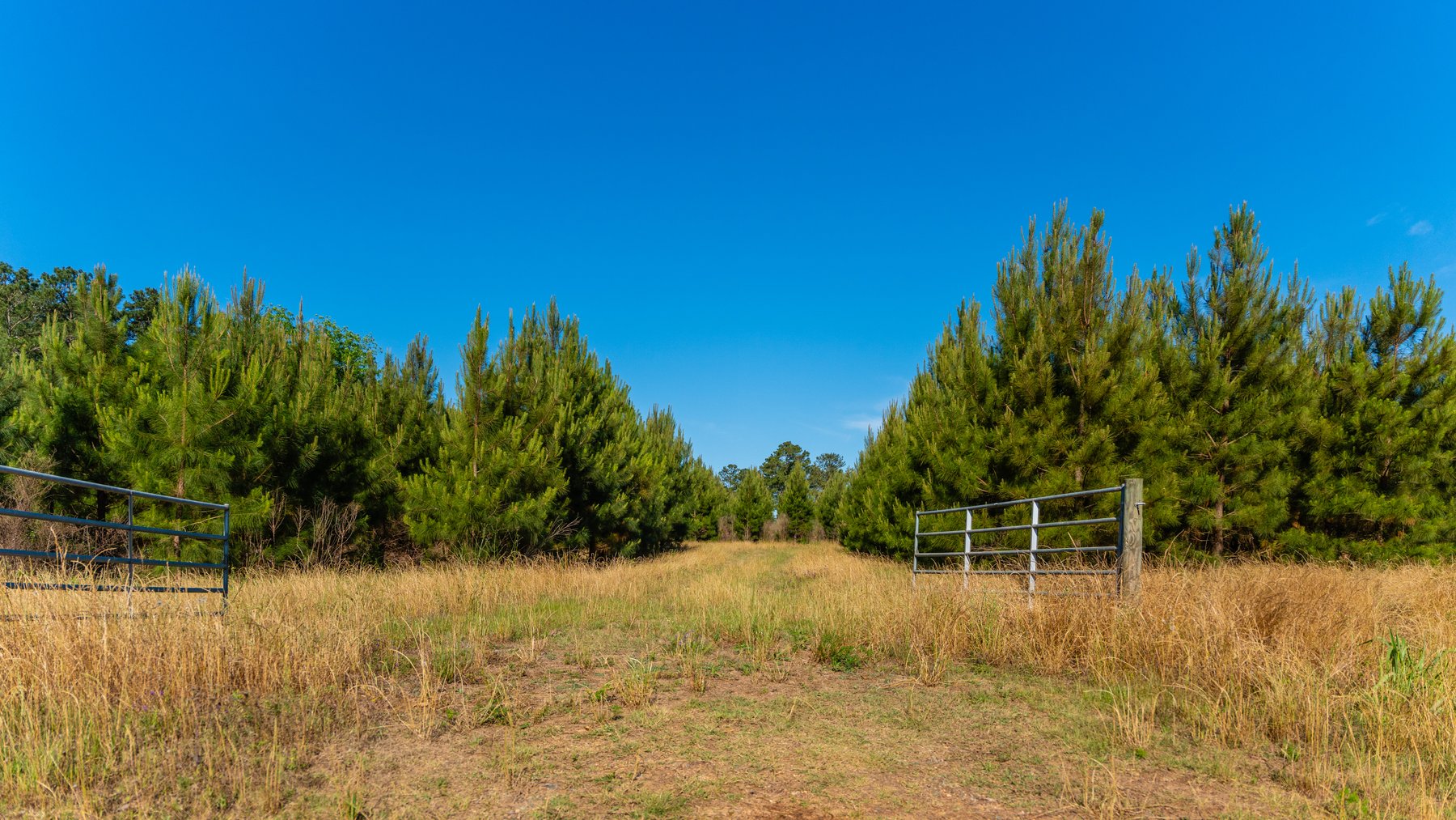 Image for 198.85± Total Acres - Diverse South Georgia Land Tract - Open Farmland w/ Timber & Stocked Pond