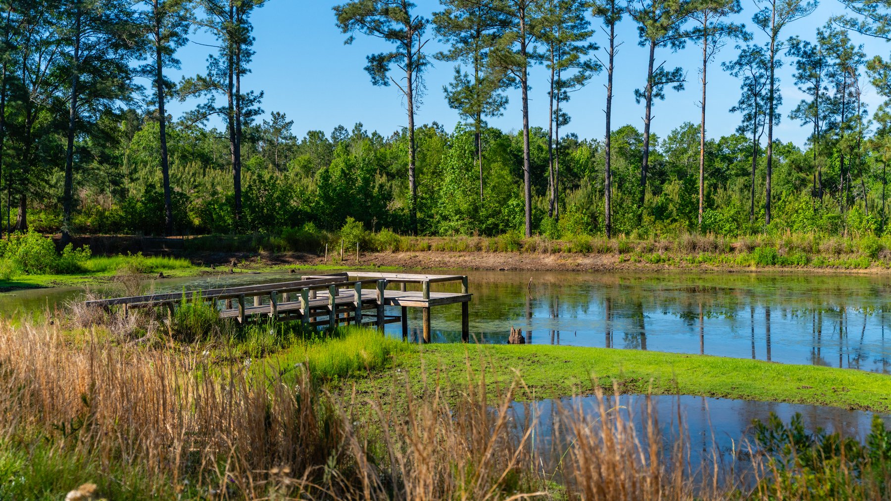 Image for 198.85± Total Acres - Diverse South Georgia Land Tract - Open Farmland w/ Timber & Stocked Pond