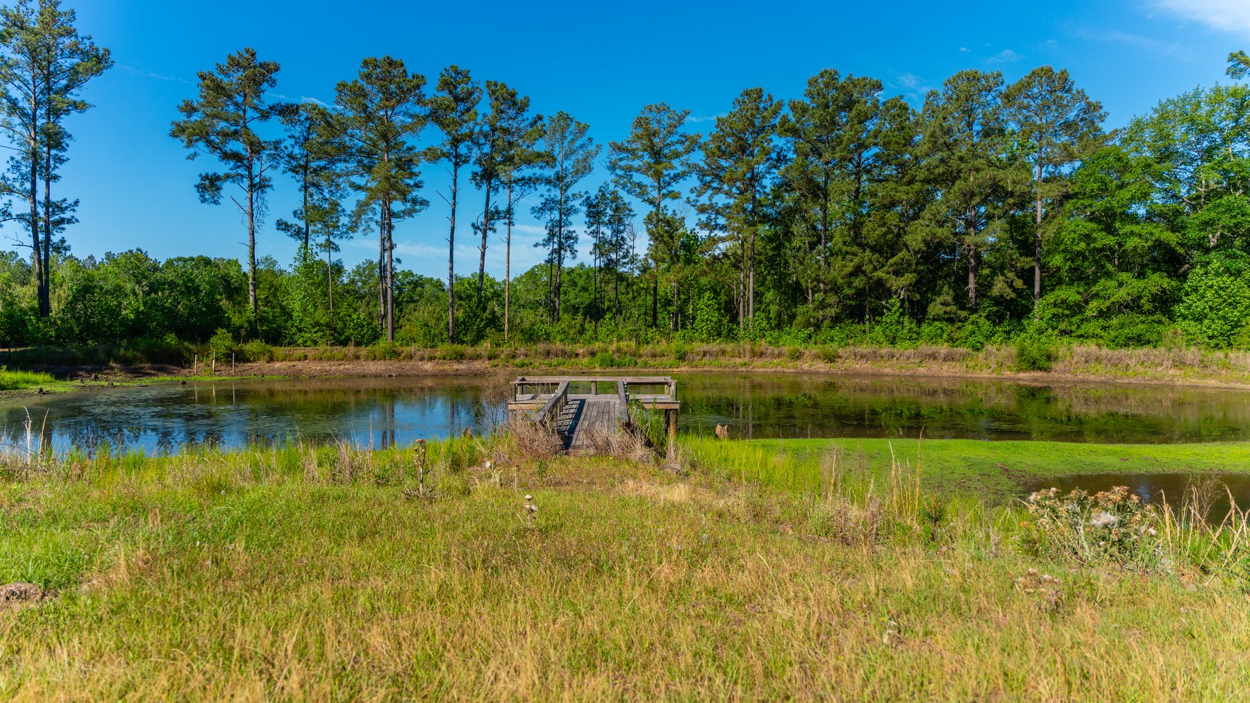 Image for 198.85± Total Acres - Diverse South Georgia Land Tract - Open Farmland w/ Timber & Stocked Pond
