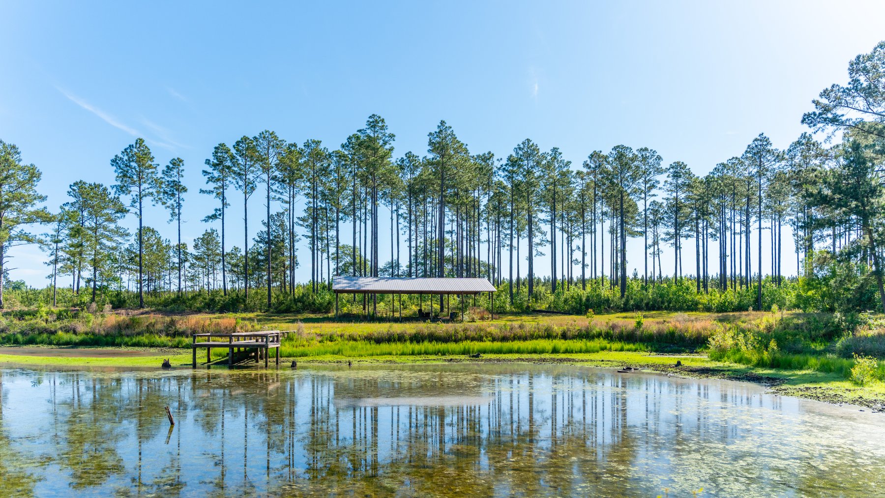 Image for 198.85± Total Acres - Diverse South Georgia Land Tract - Open Farmland w/ Timber & Stocked Pond