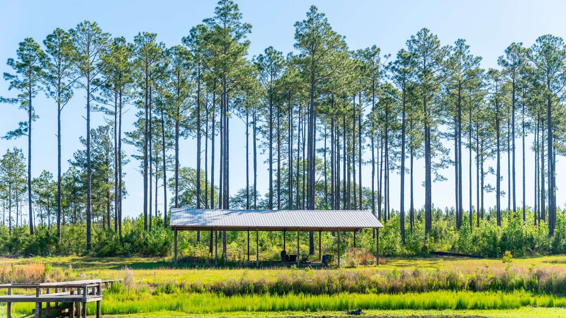Image for 198.85± Total Acres - Diverse South Georgia Land Tract - Open Farmland w/ Timber & Stocked Pond