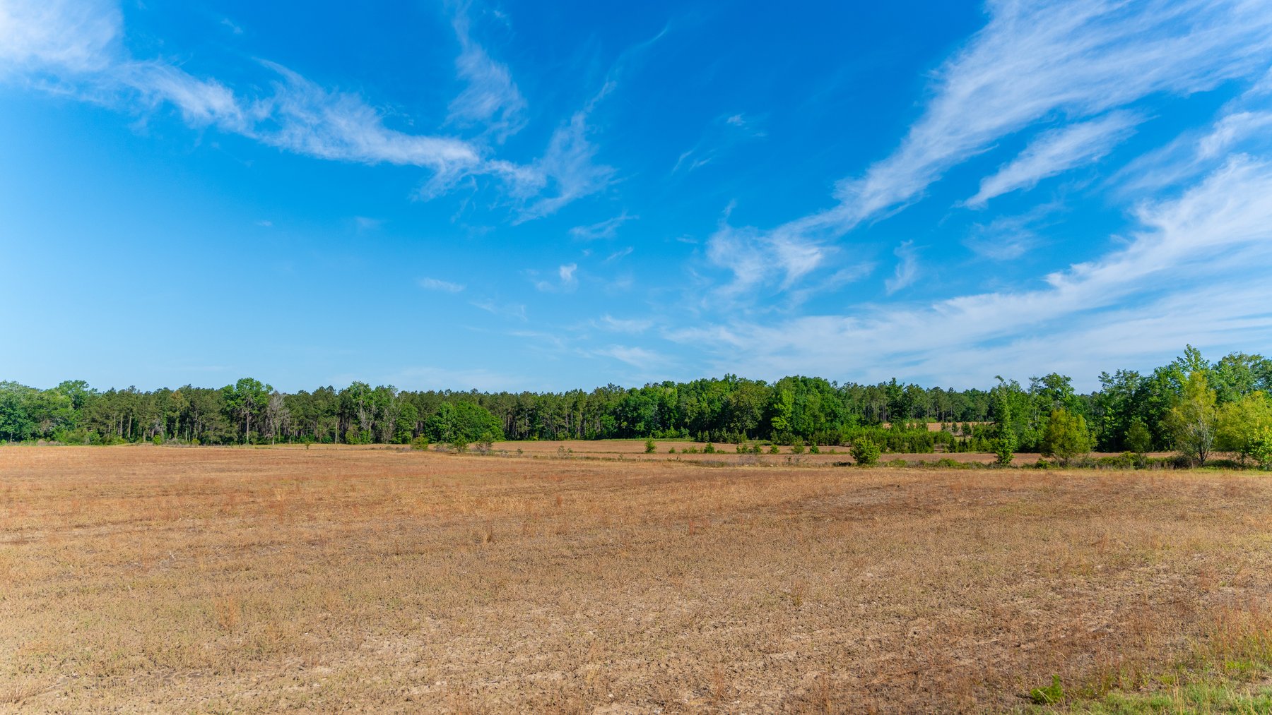 Image for 198.85± Total Acres - Diverse South Georgia Land Tract - Open Farmland w/ Timber & Stocked Pond