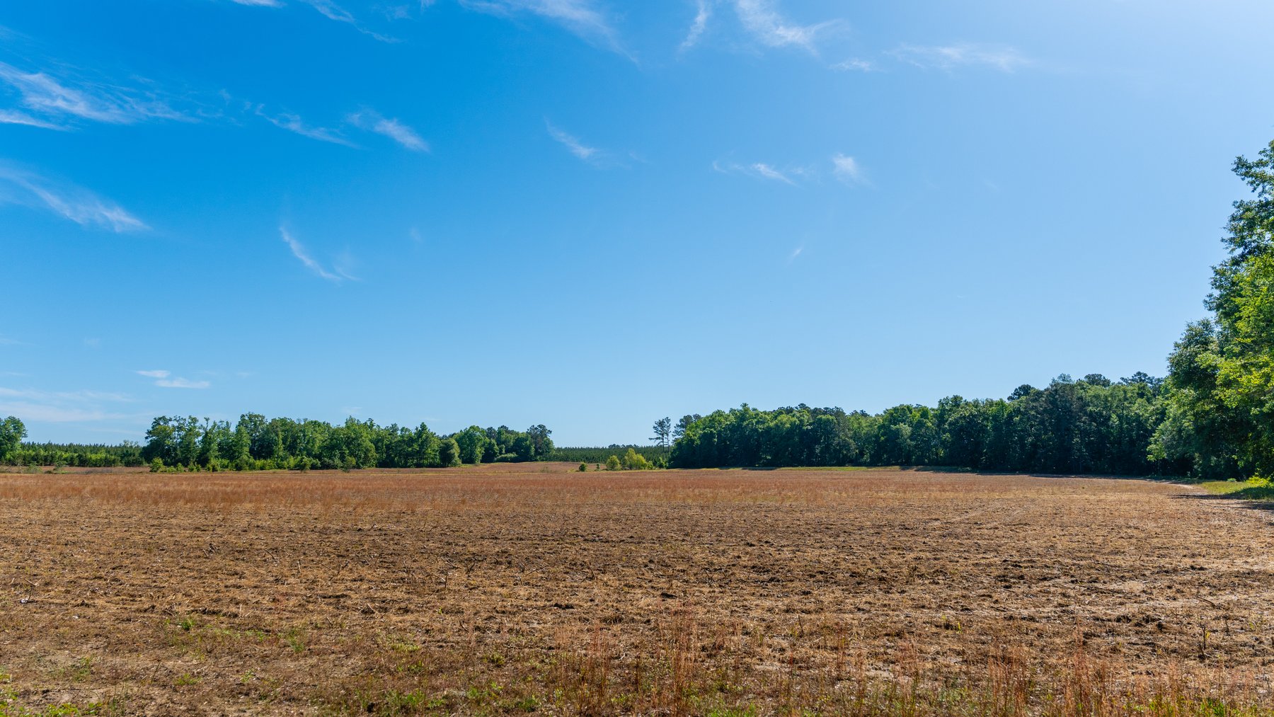 Image for 198.85± Total Acres - Diverse South Georgia Land Tract - Open Farmland w/ Timber & Stocked Pond