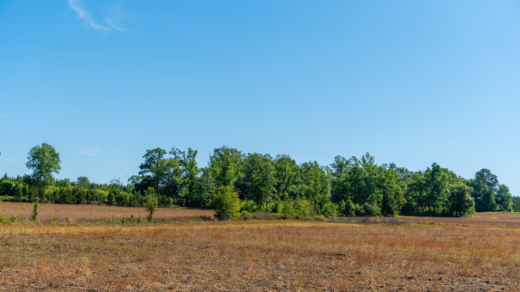 Image for 198.85± Total Acres - Diverse South Georgia Land Tract - Open Farmland w/ Timber & Stocked Pond