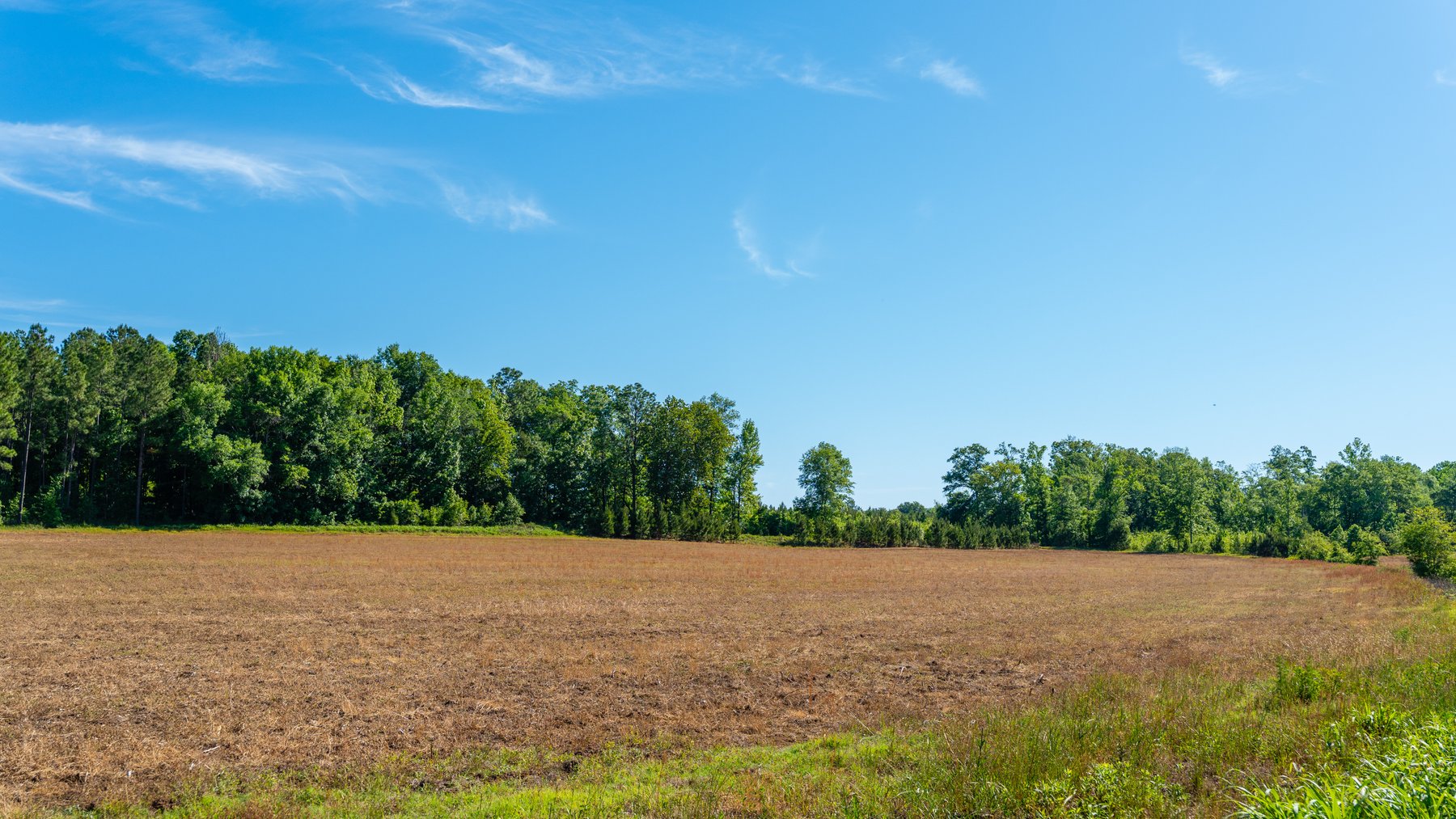 Image for 198.85± Total Acres - Diverse South Georgia Land Tract - Open Farmland w/ Timber & Stocked Pond