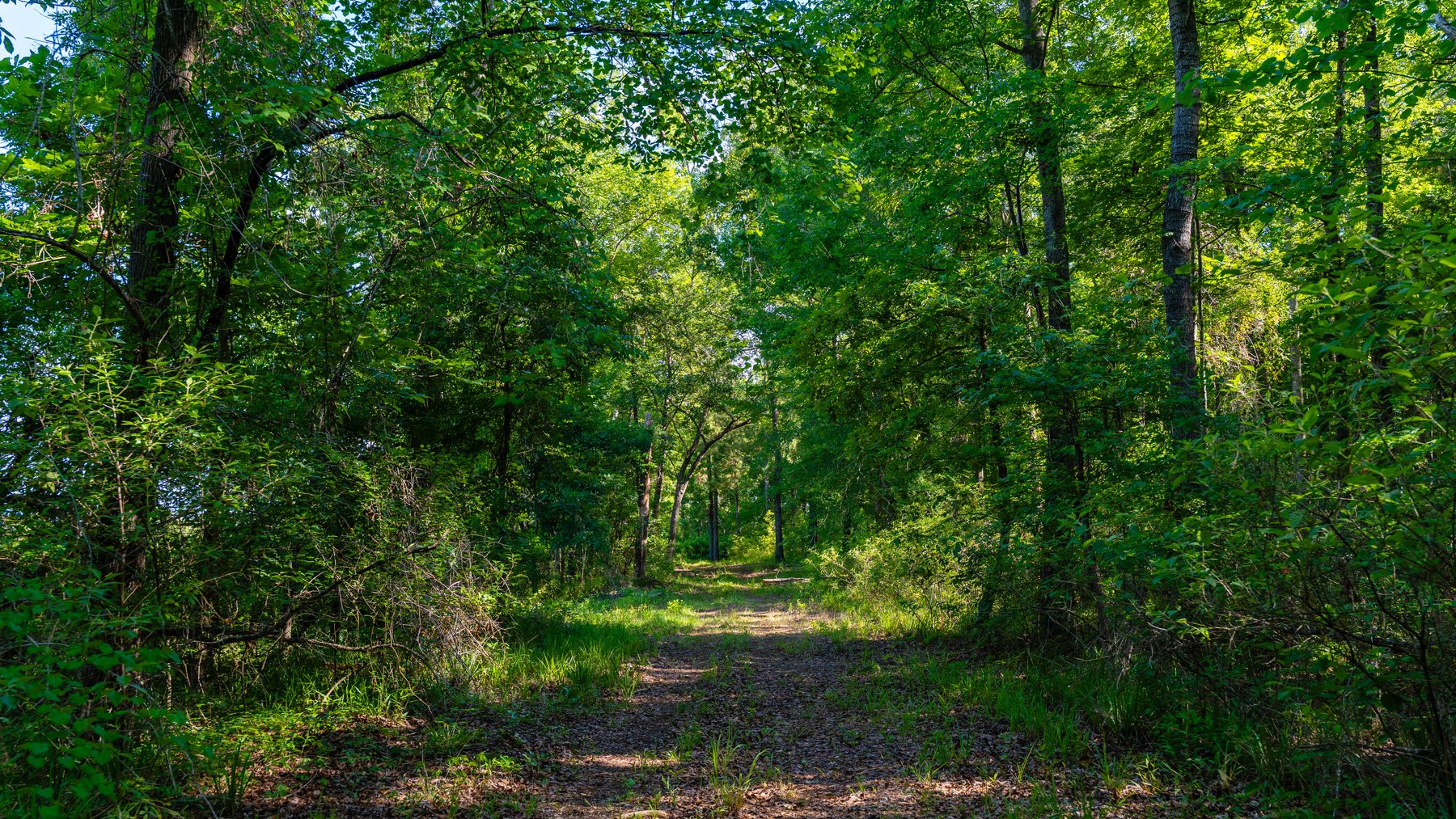 Image for 198.85± Total Acres - Diverse South Georgia Land Tract - Open Farmland w/ Timber & Stocked Pond
