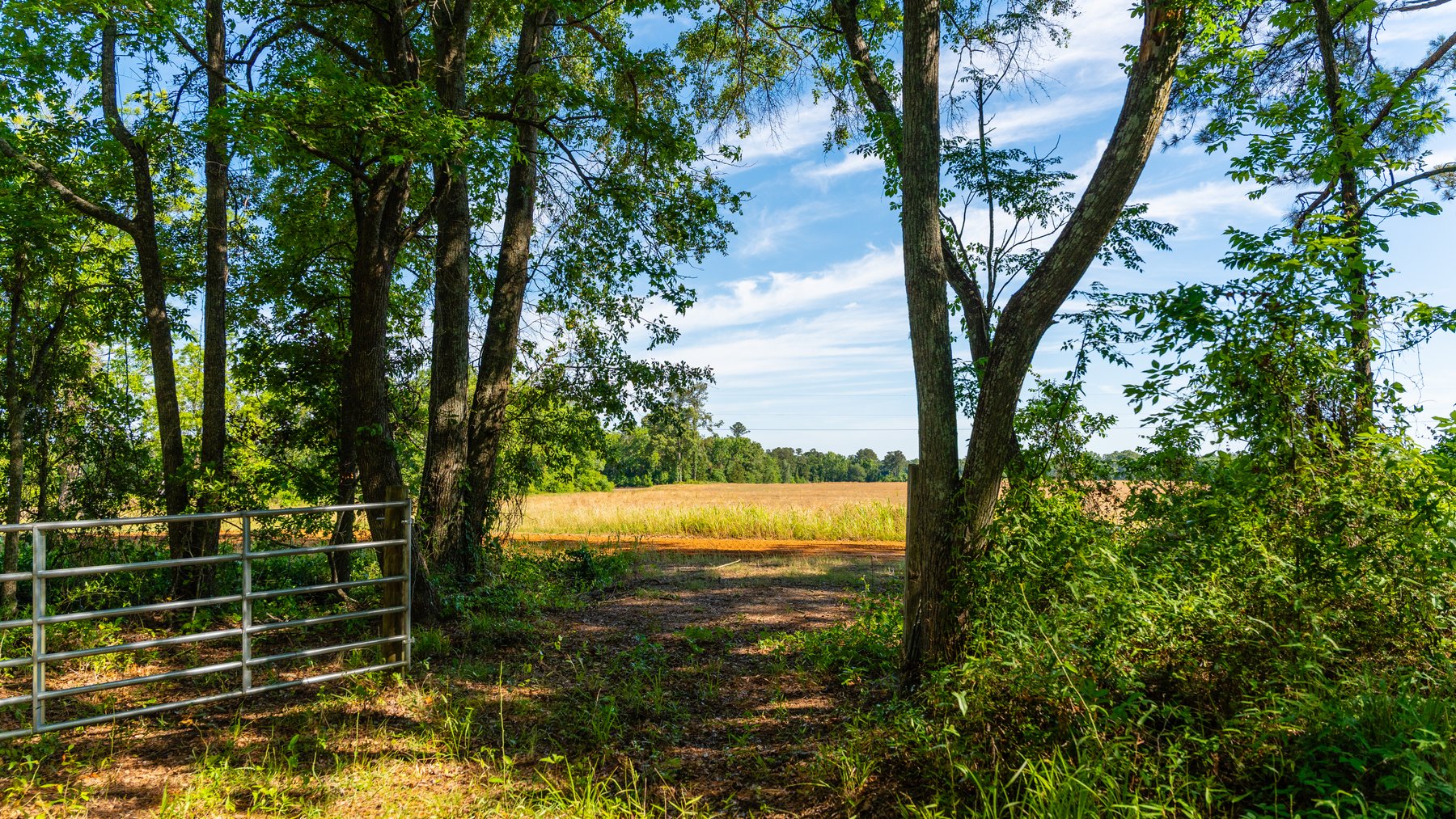 Image for 198.85± Total Acres - Diverse South Georgia Land Tract - Open Farmland w/ Timber & Stocked Pond