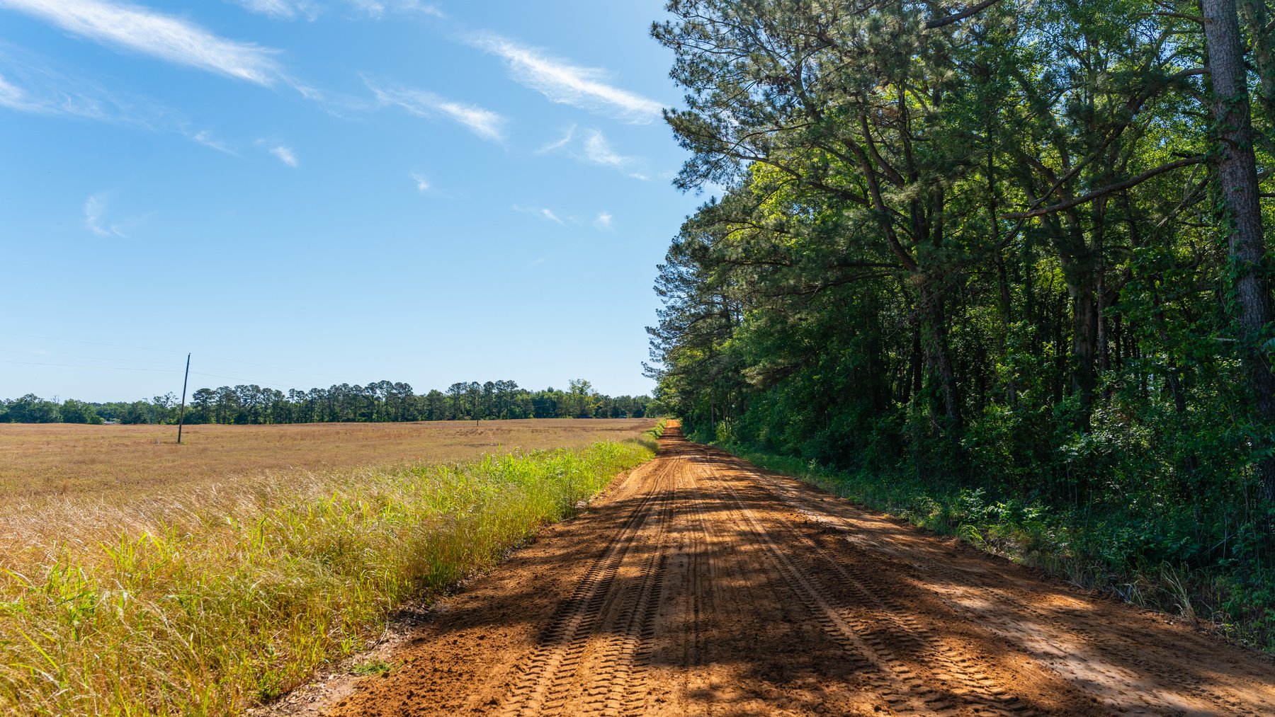 Image for 198.85± Total Acres - Diverse South Georgia Land Tract - Open Farmland w/ Timber & Stocked Pond